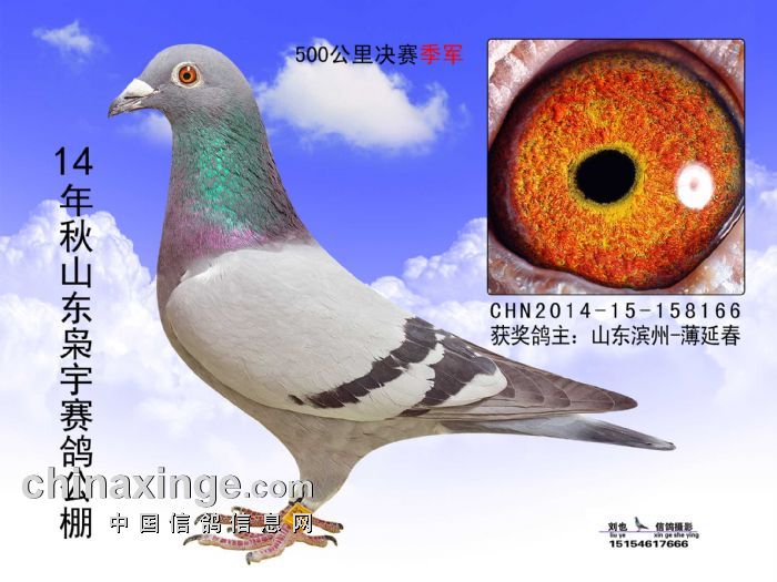 2014��ɽ��������������