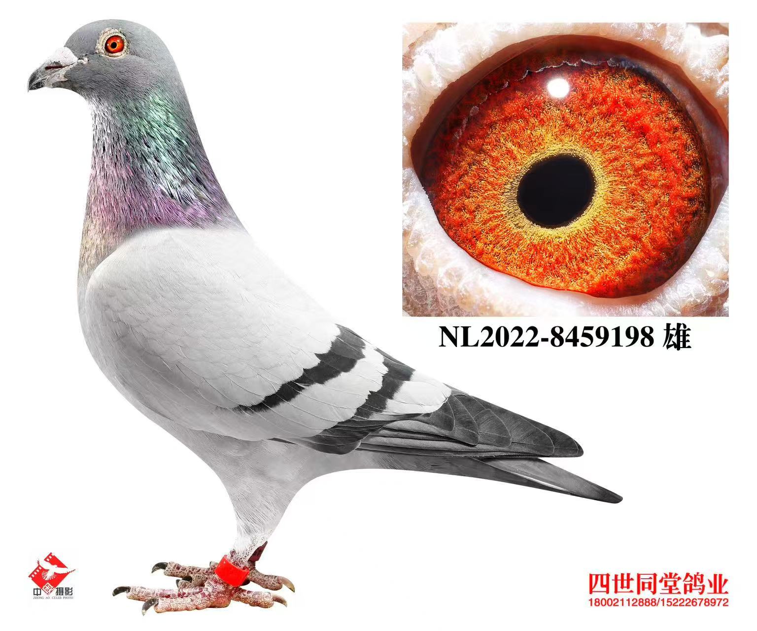 ղķʿ*��������456