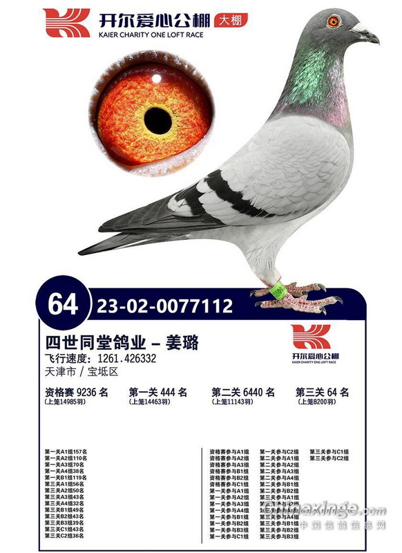 23����ɽ�󿪶�����64λ