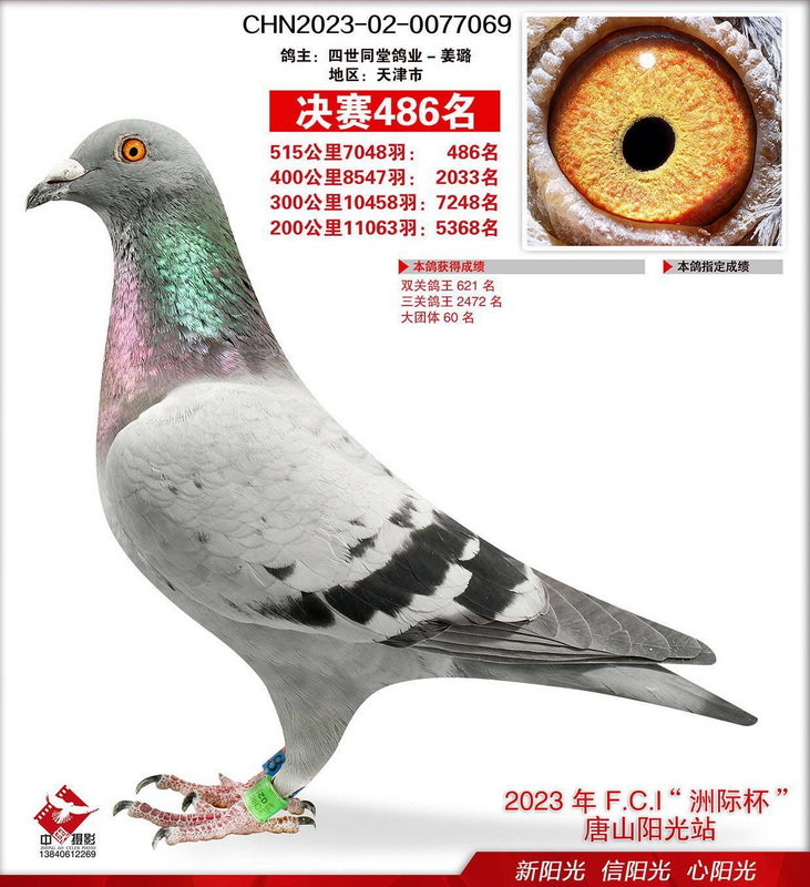 23����ɽ����������486λ