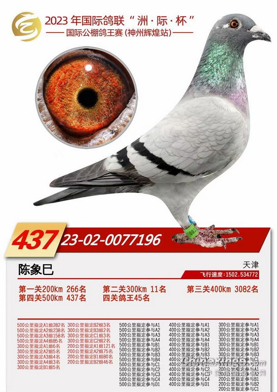 23���������ݻԻ͹������437λ