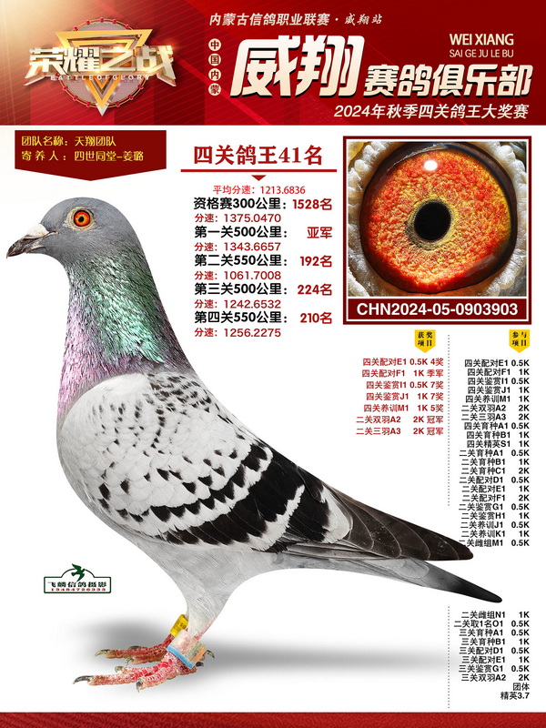 24�����������Ĺظ���41λ�׹��Ǿ�