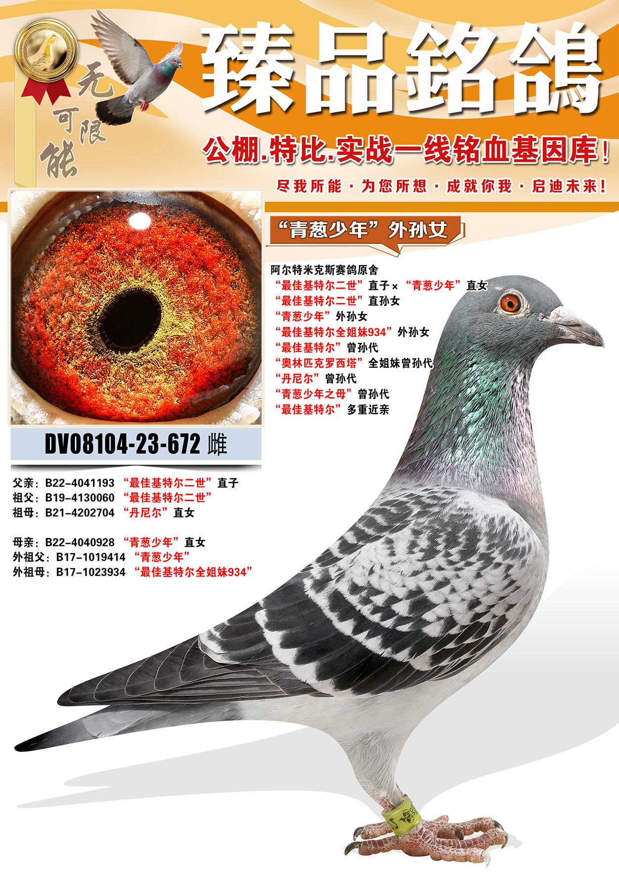 �������׿�˹ԭ�ᡰ������ꡱ����Ů