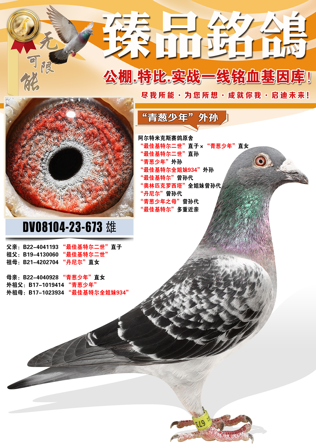 �������׿�˹ԭ�ᡰ������ꡱ����