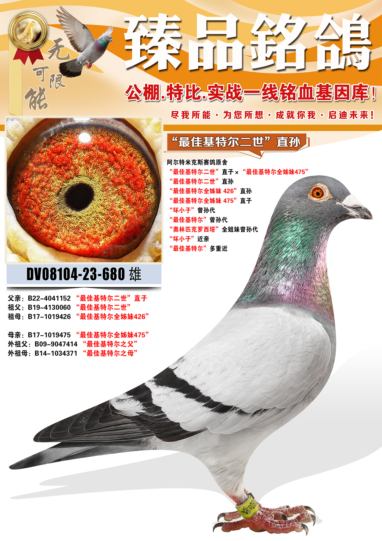 �������׿�˹ԭ�ᡰ��ѻ��ض�������ֱ��