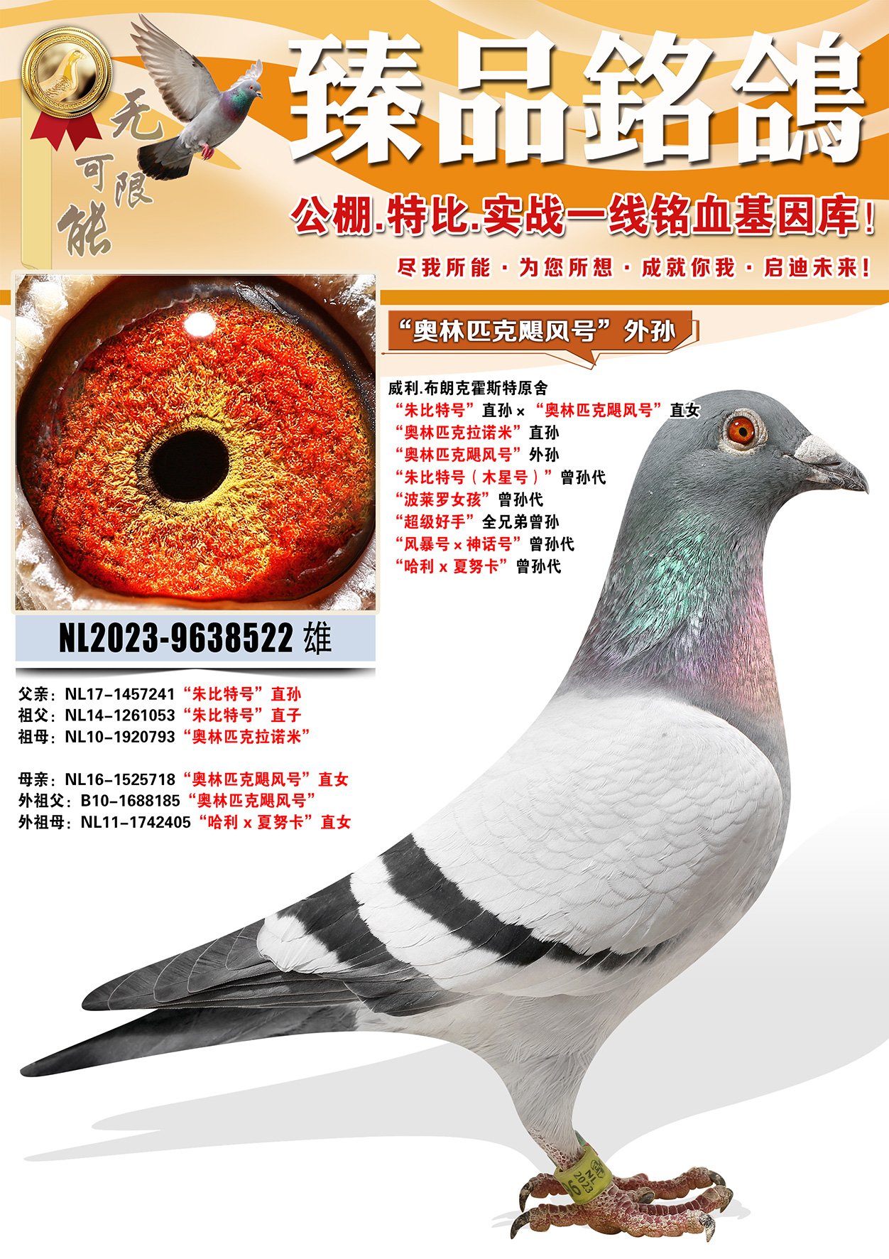 ����.���ʿ˻�˹�ء�����ƥ��쫷�š�����