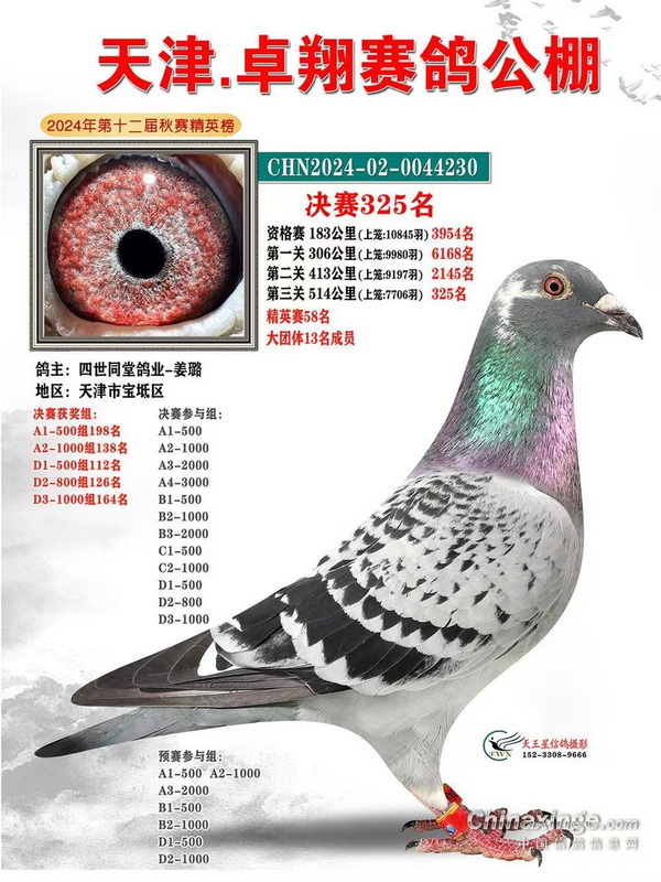 ���׿�蹫�����325λ