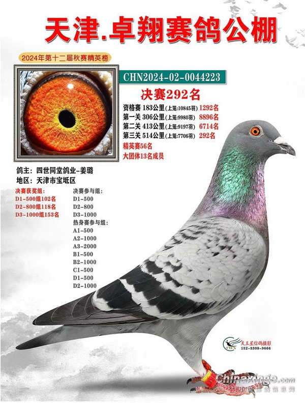 24�����׿�蹫�����292λ