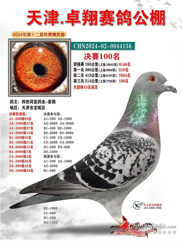 24�����׿�蹫�����100λ