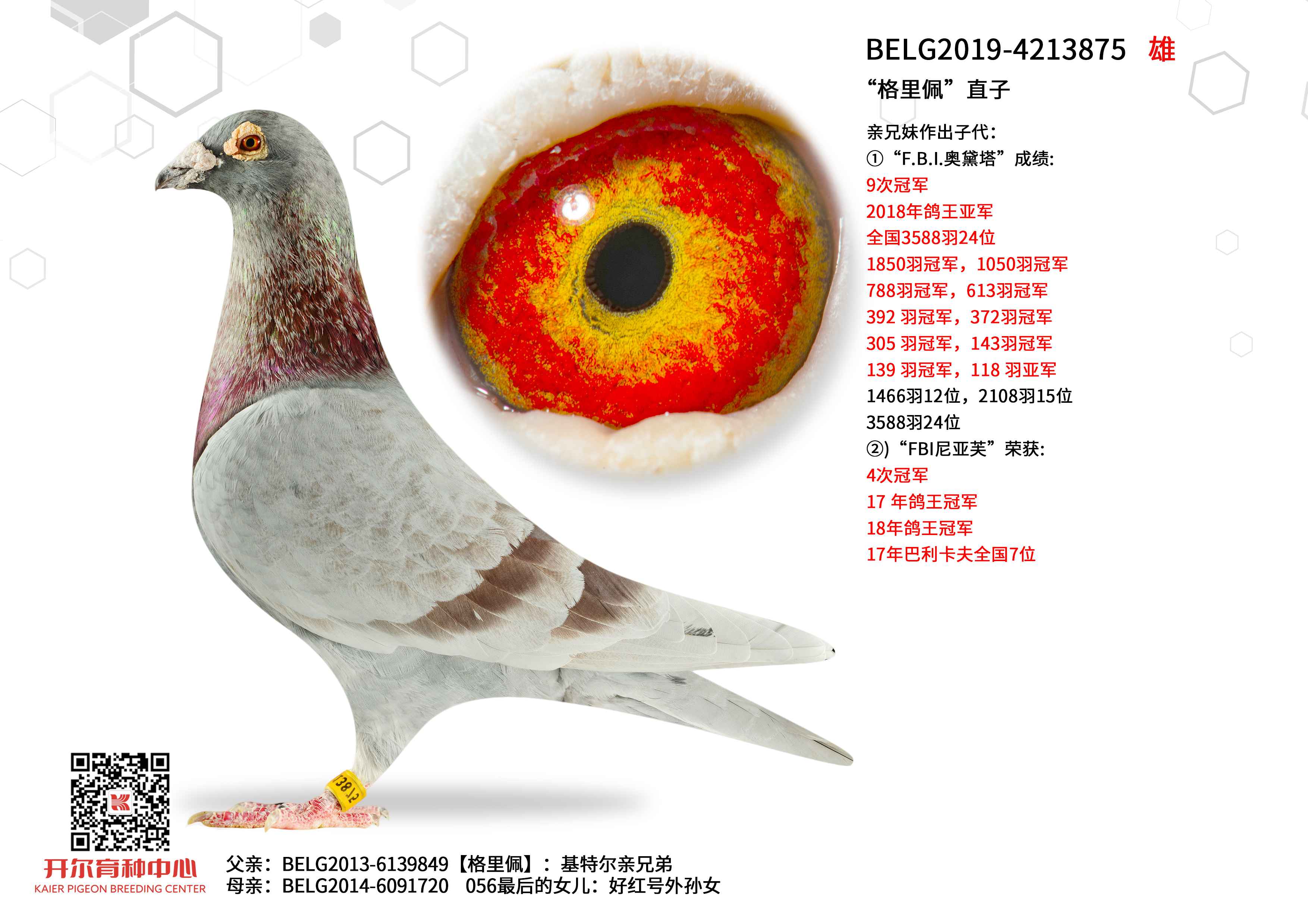 �������塱ֱ��