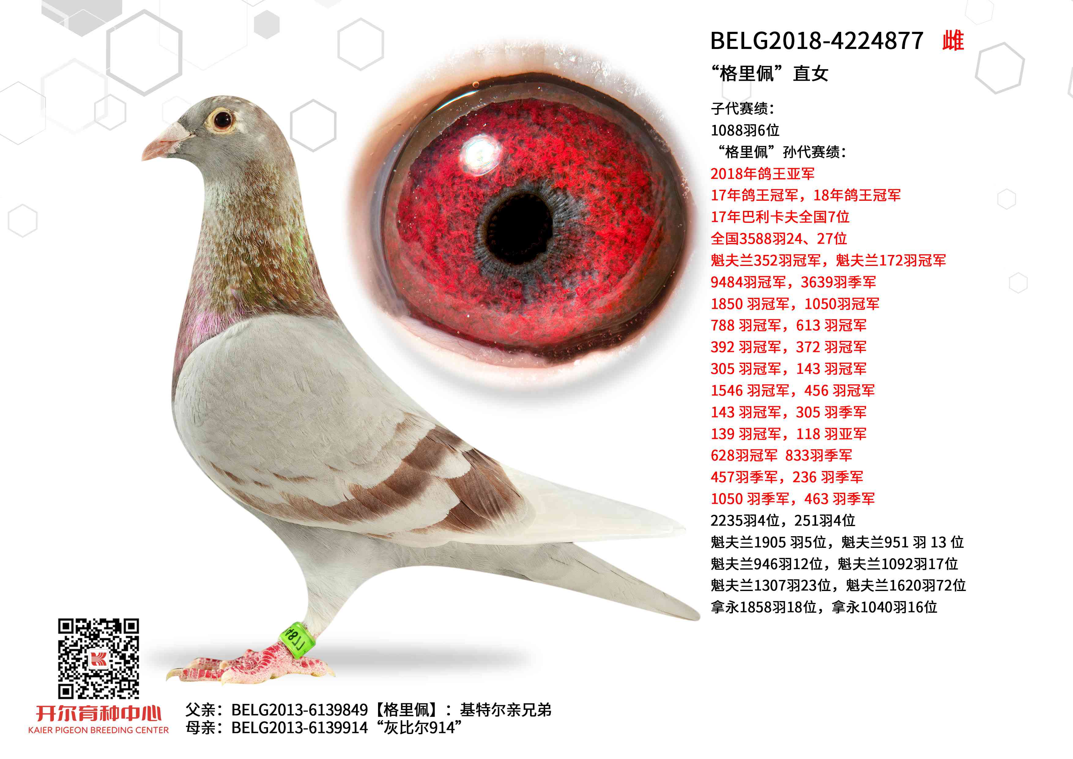 �������塱ֱŮ