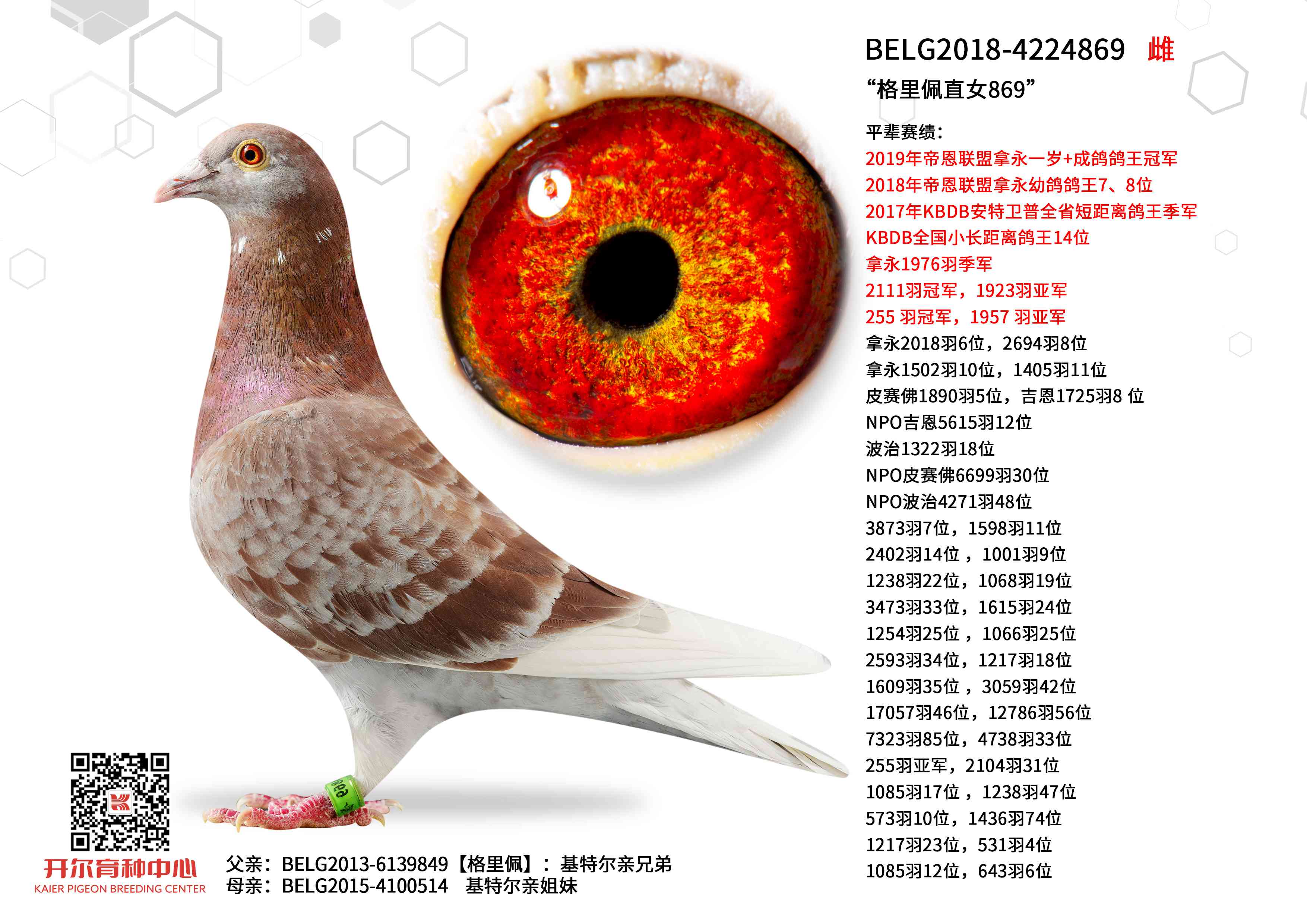 ��������ֱŮ869��