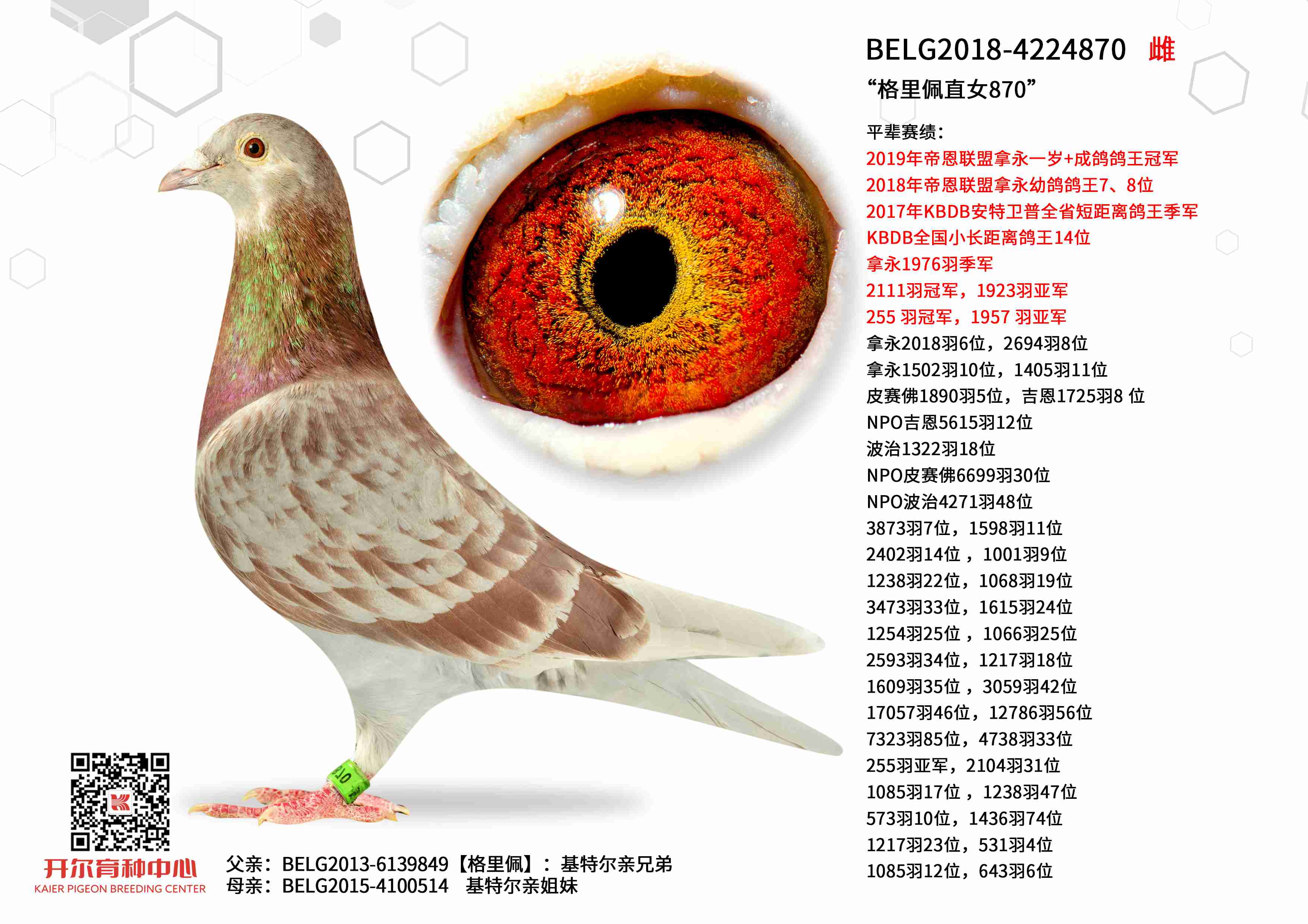 ��������ֱŮ870��