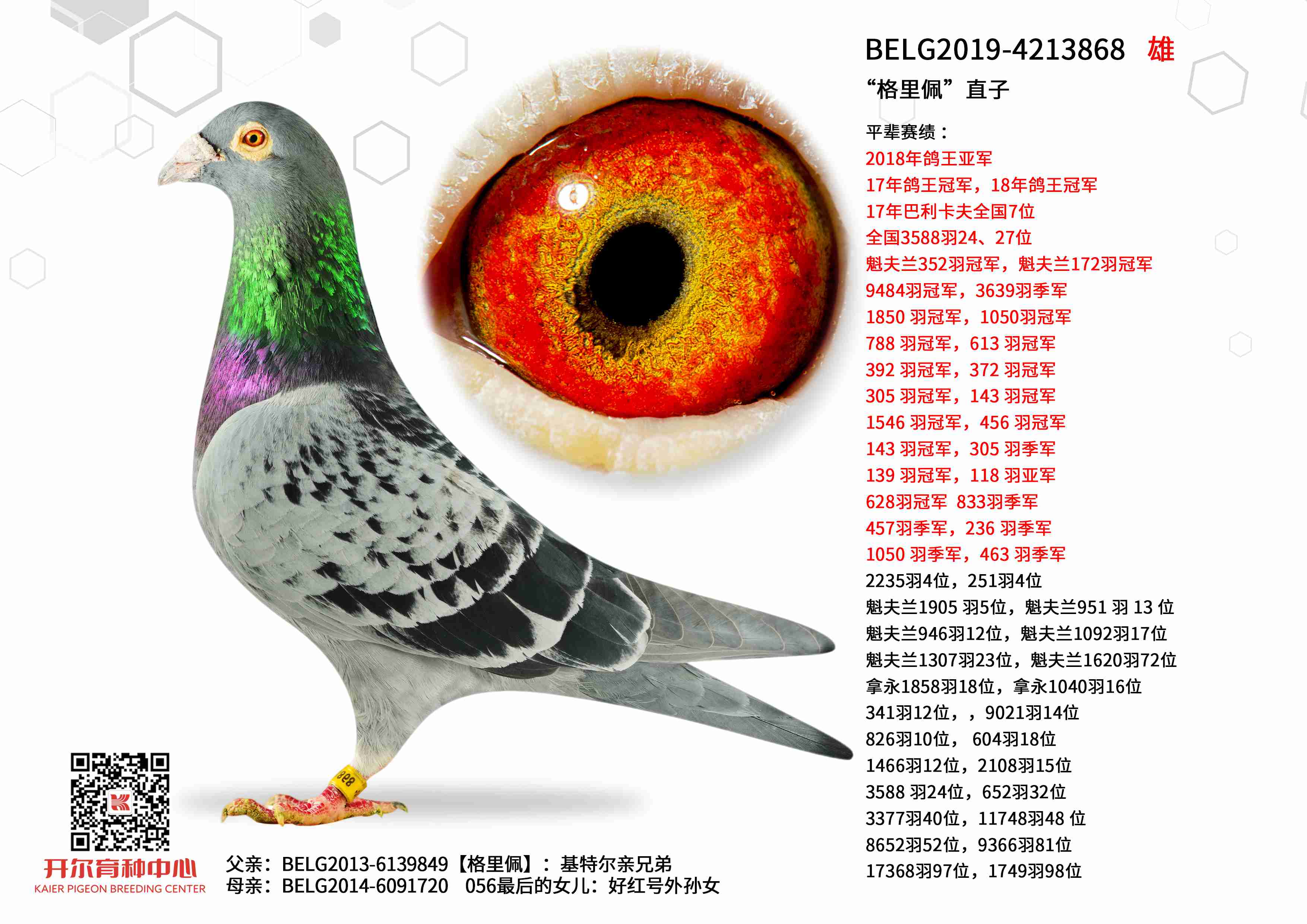 �������塱ֱ��