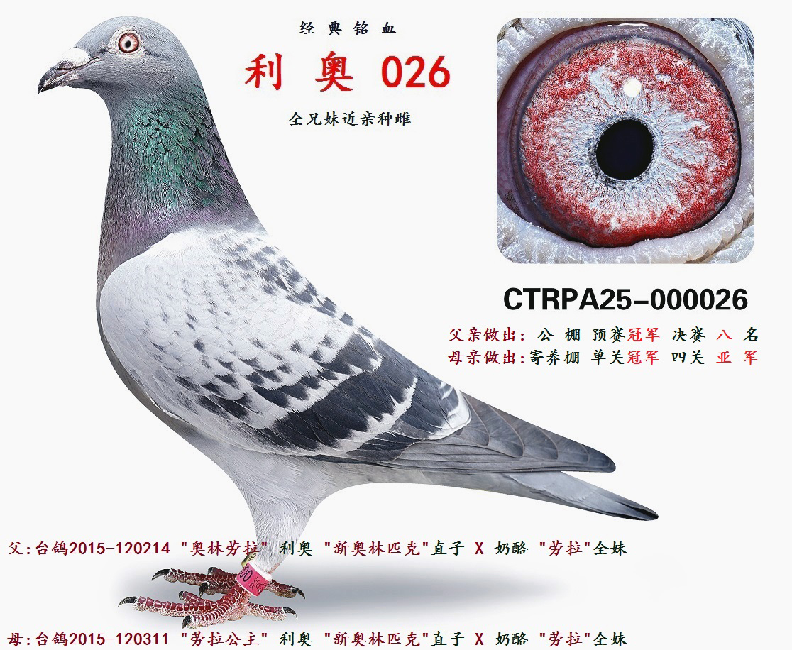 �W��ƥ�� 026