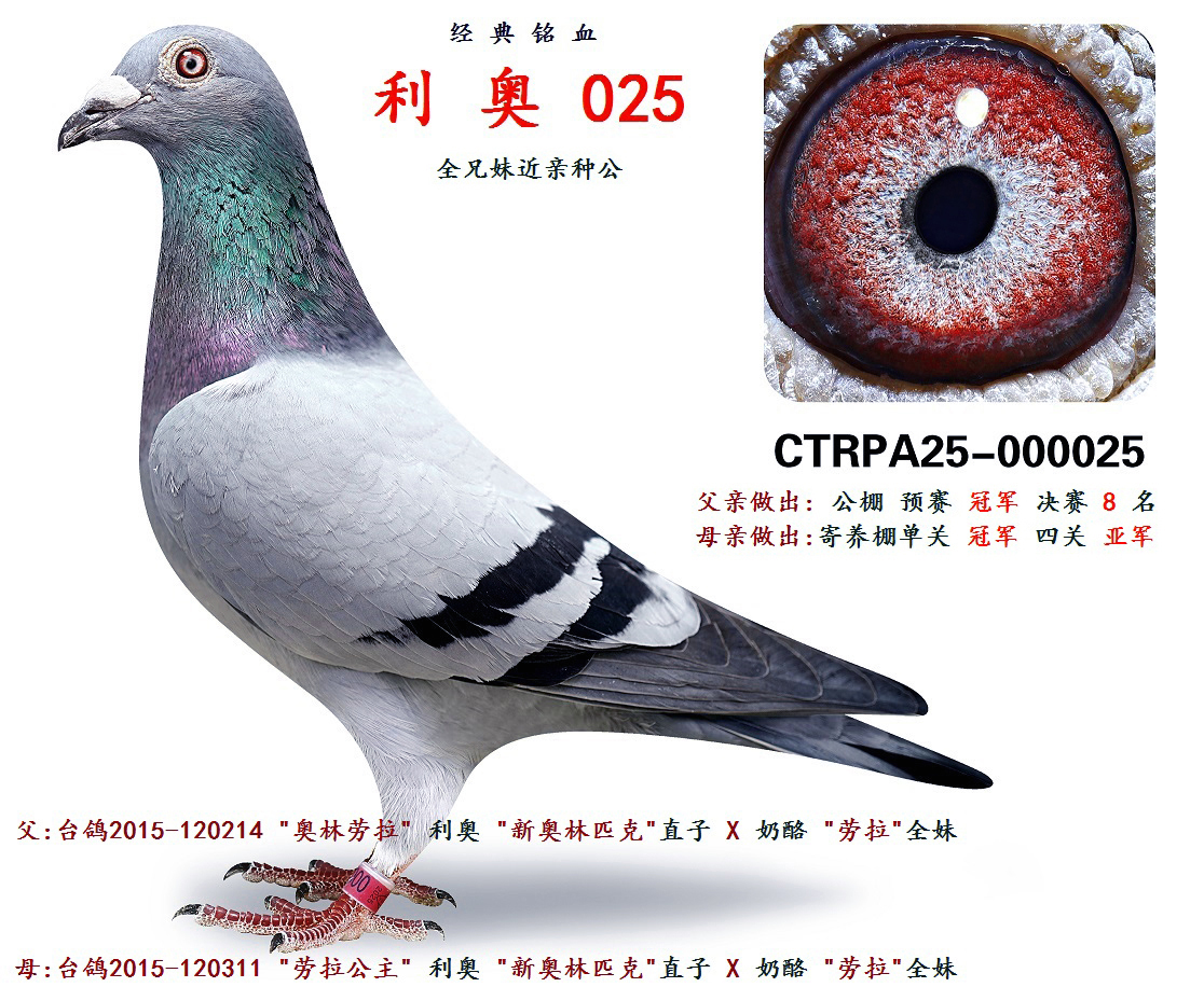 �W��ƥ�� 25