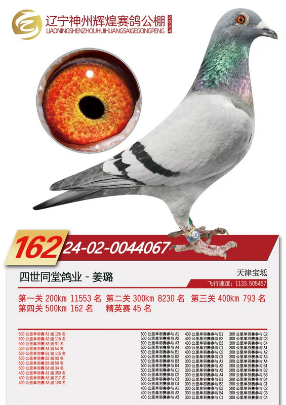 24���������ݻԻ;���162λ��Ӣ��45