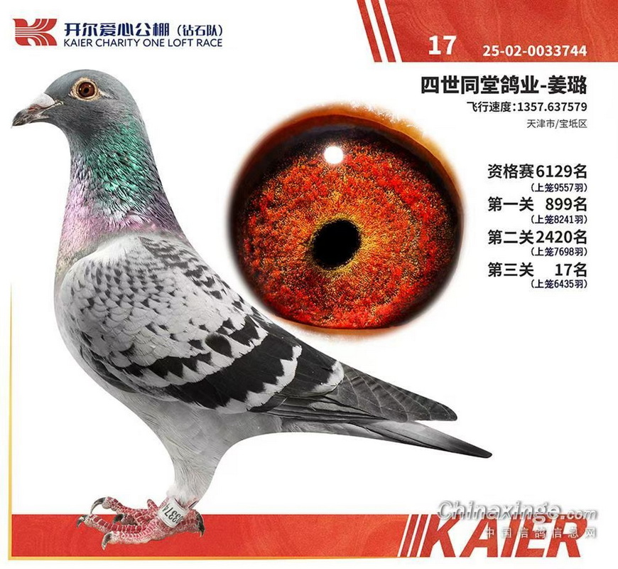 25����ɽ������ʯ�Ӿ���17λ