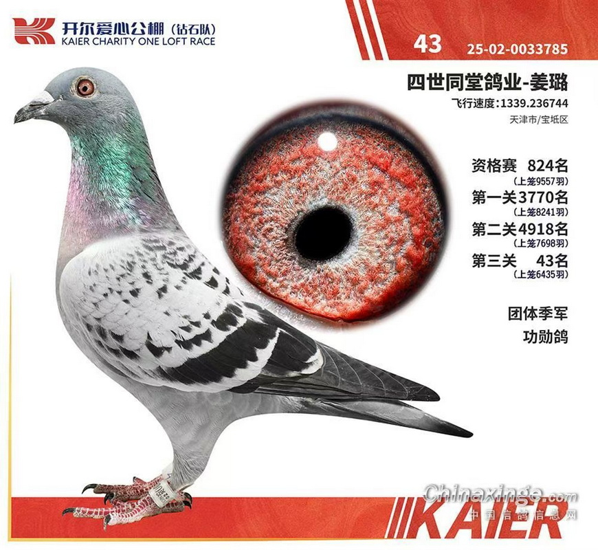 25����ɽ������ʯ�Ӿ���43λ