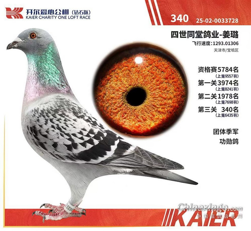 25����ɽ������ʯ�Ӿ���340λ