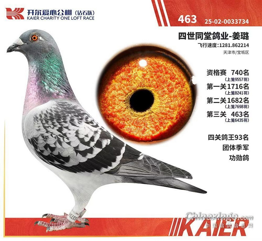 25����ɽ������ʯ�Ӿ���463λ