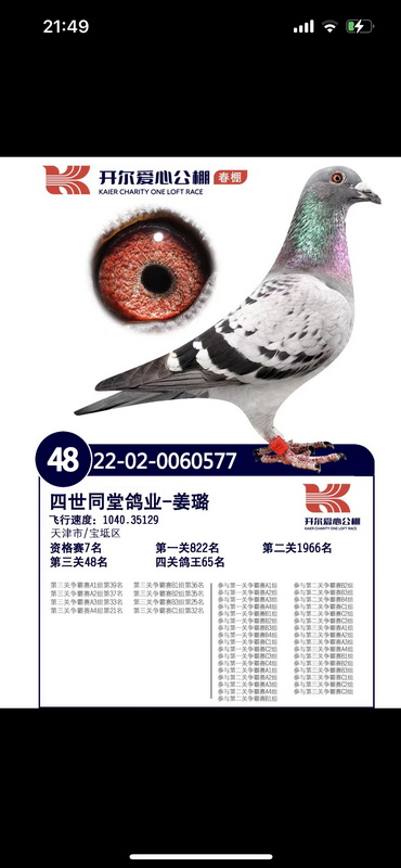 23�괺��ɽ�����������48λ