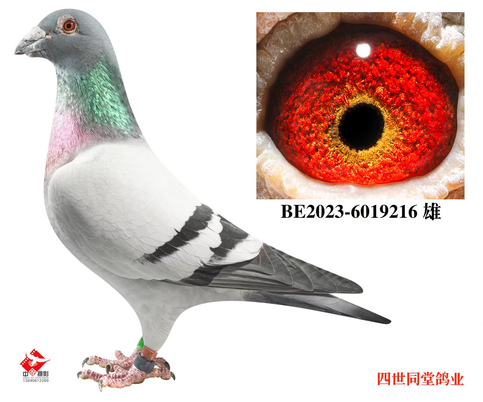 ����޽�̩˹ԭ��216