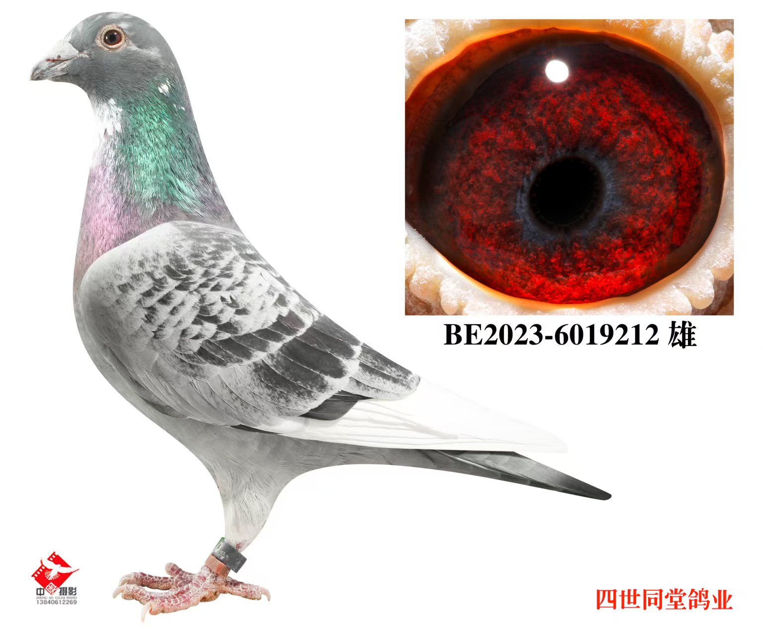 ����޽�̩˹ԭ��212