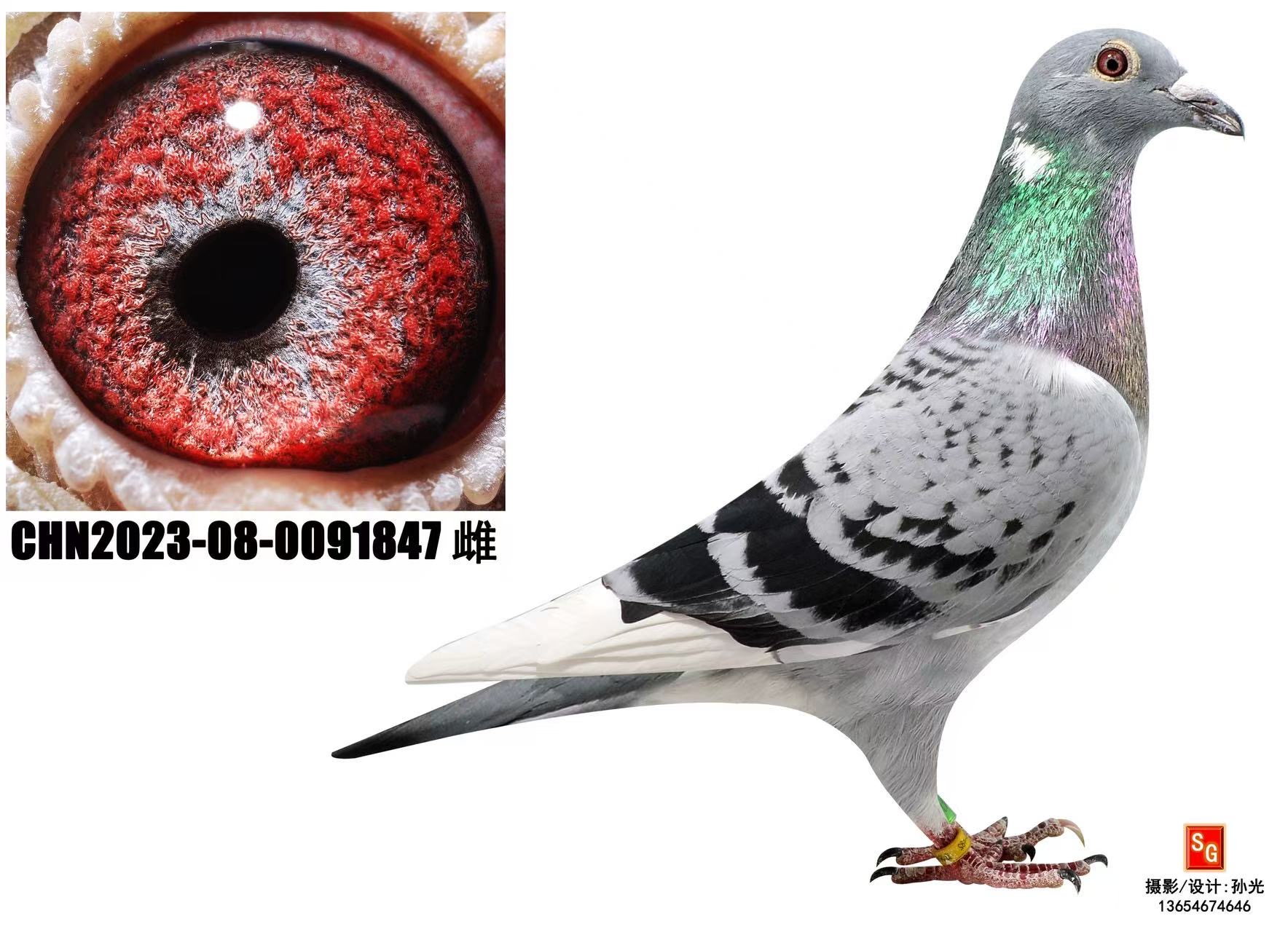 �����ɹھ���Ů