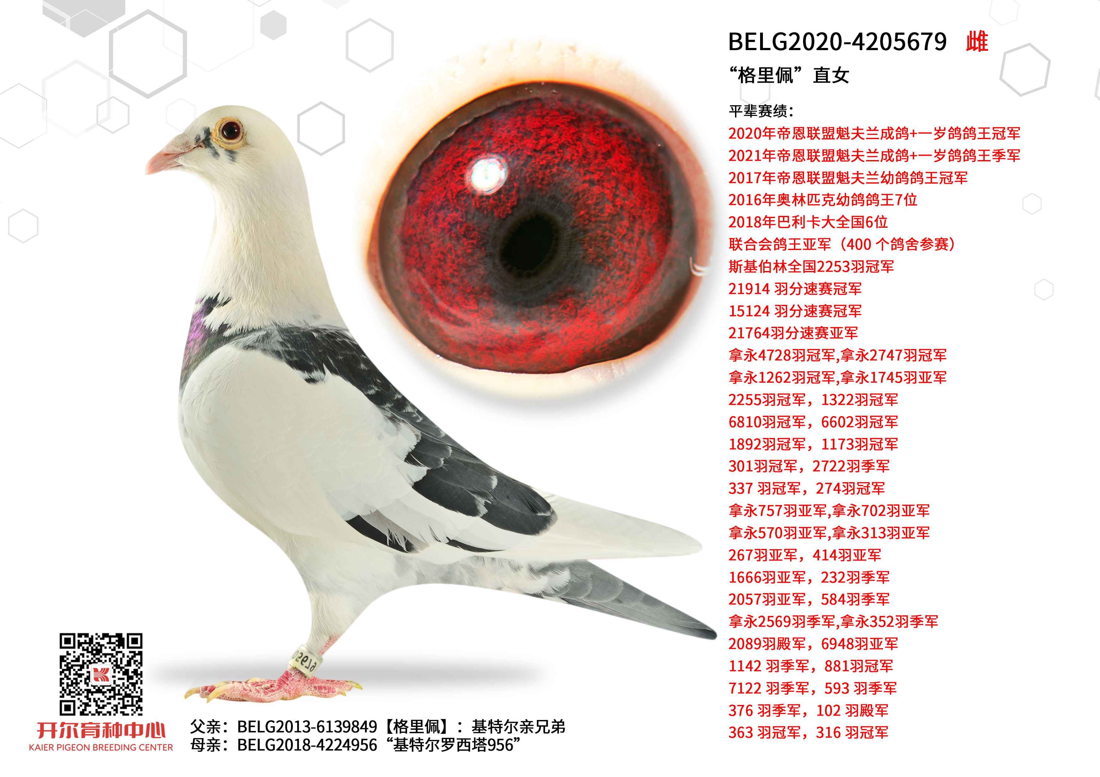 �������塱ֱŮ