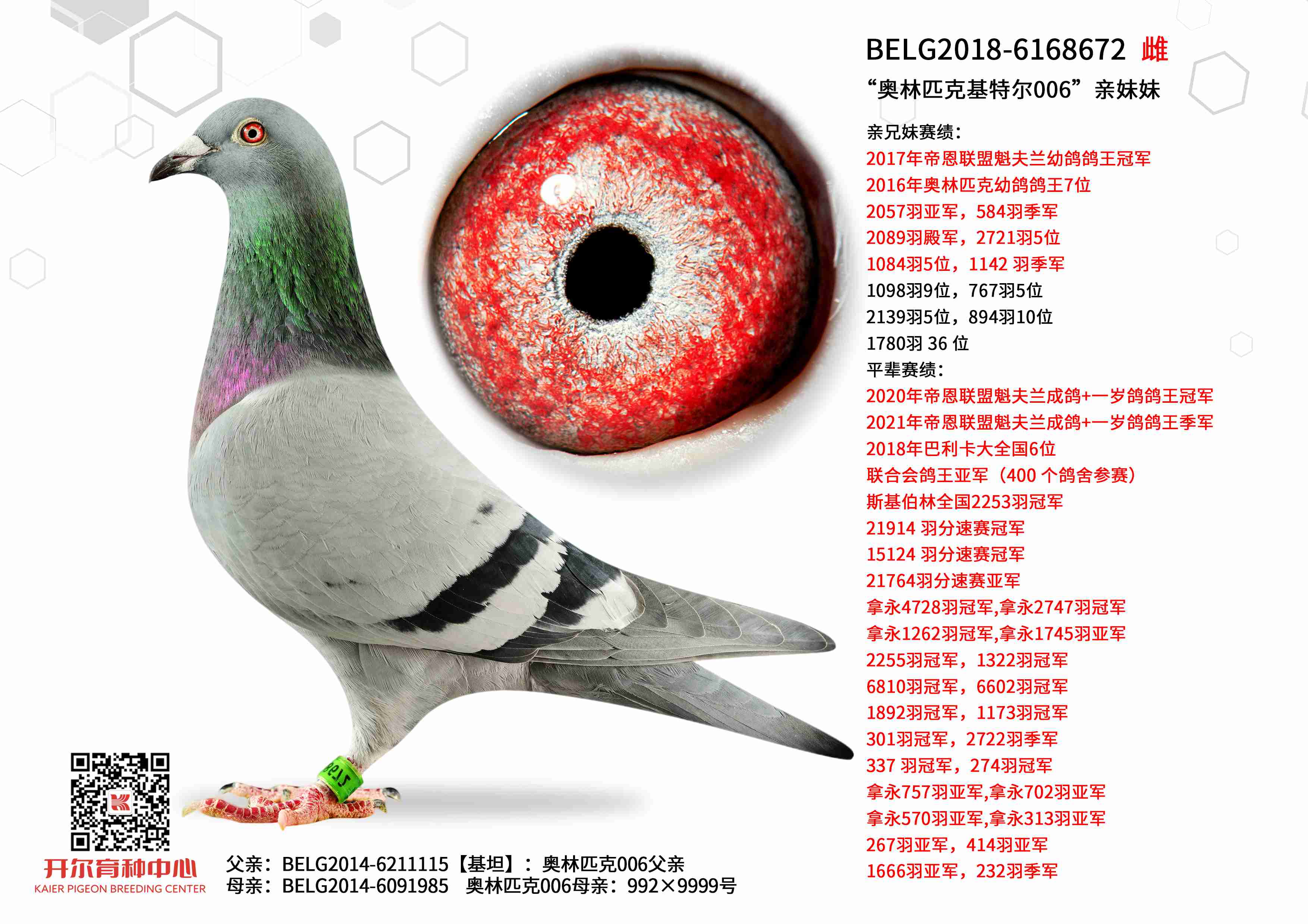 ������ƥ�˻��ض�006��������