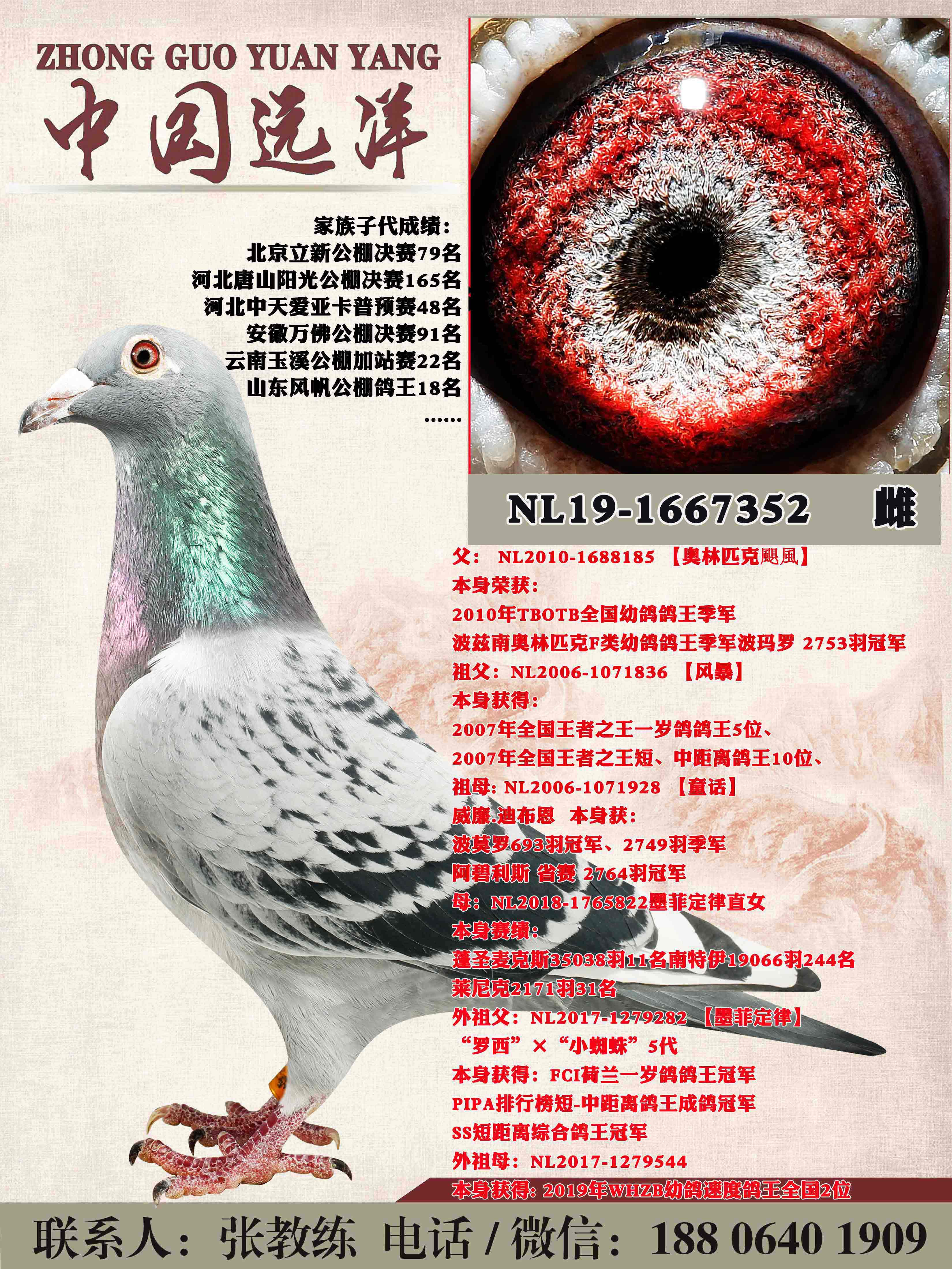 ����ƥ��쫷��ֱŮ