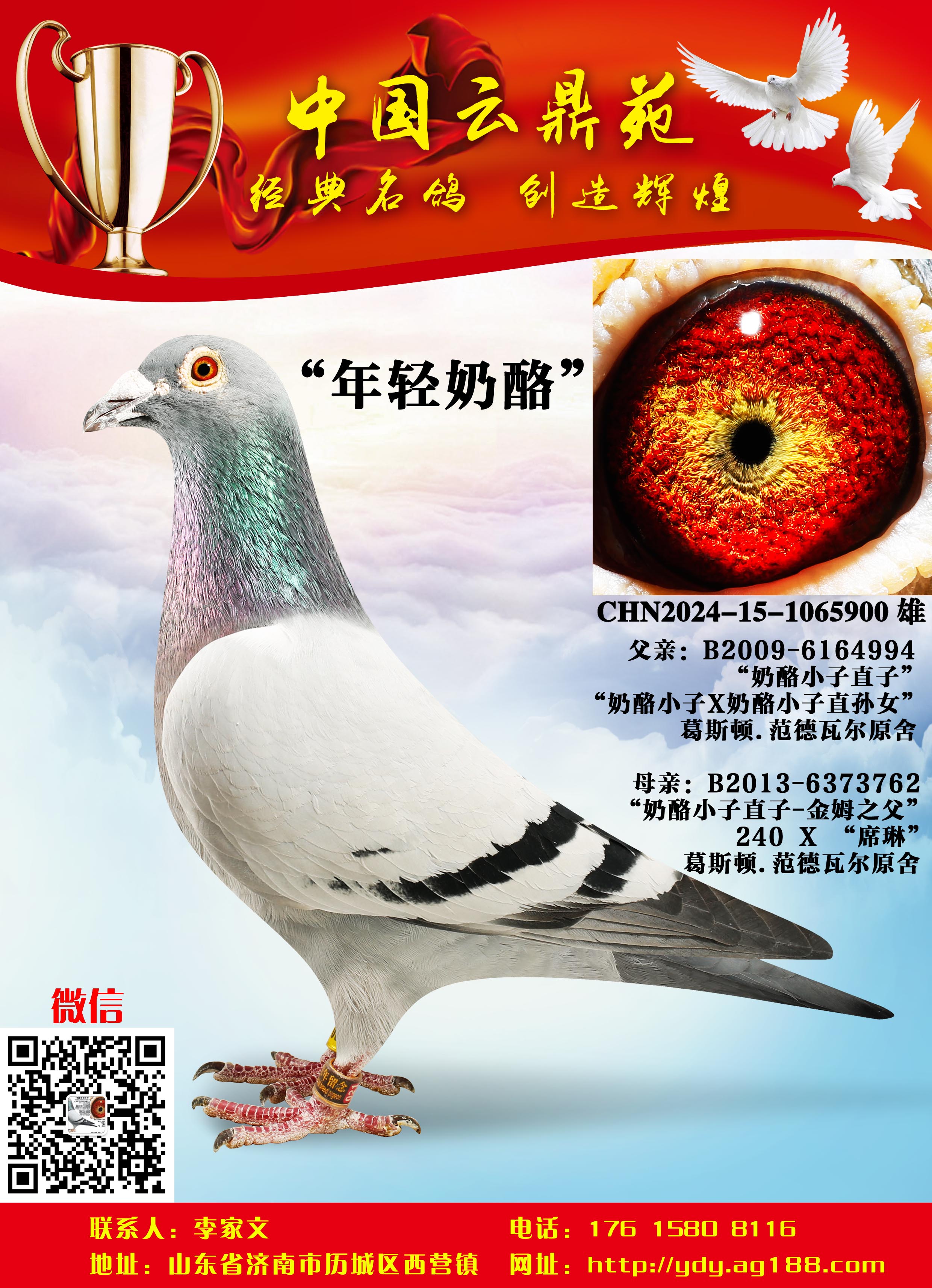 �ƽ�����