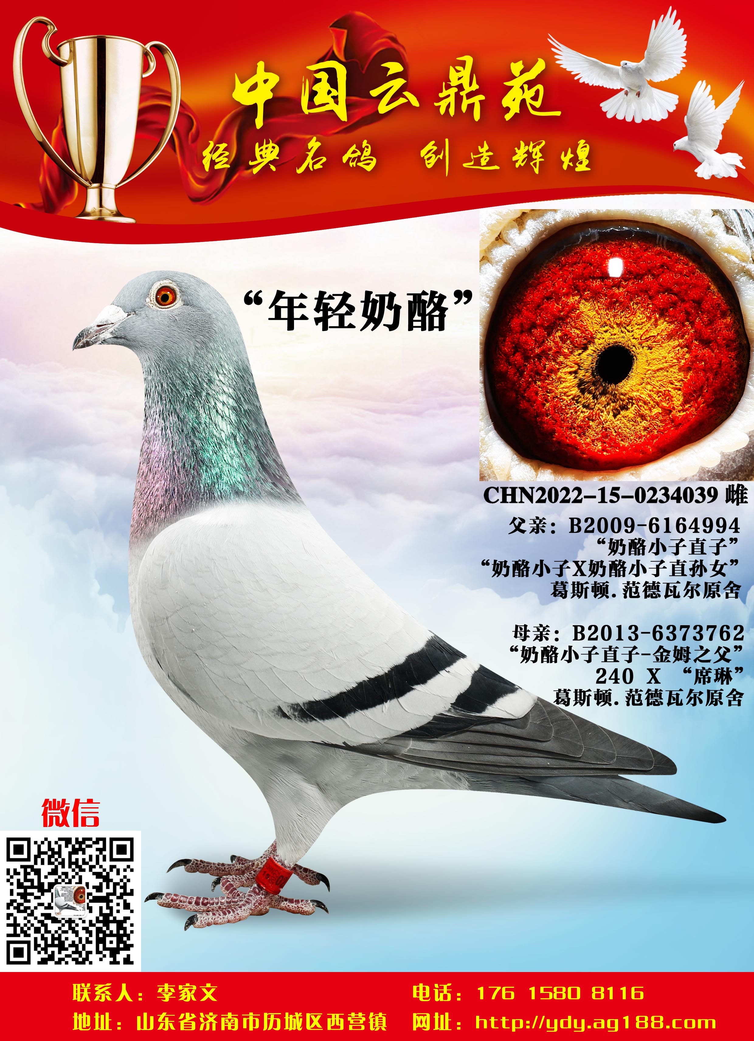 �ƽ�����