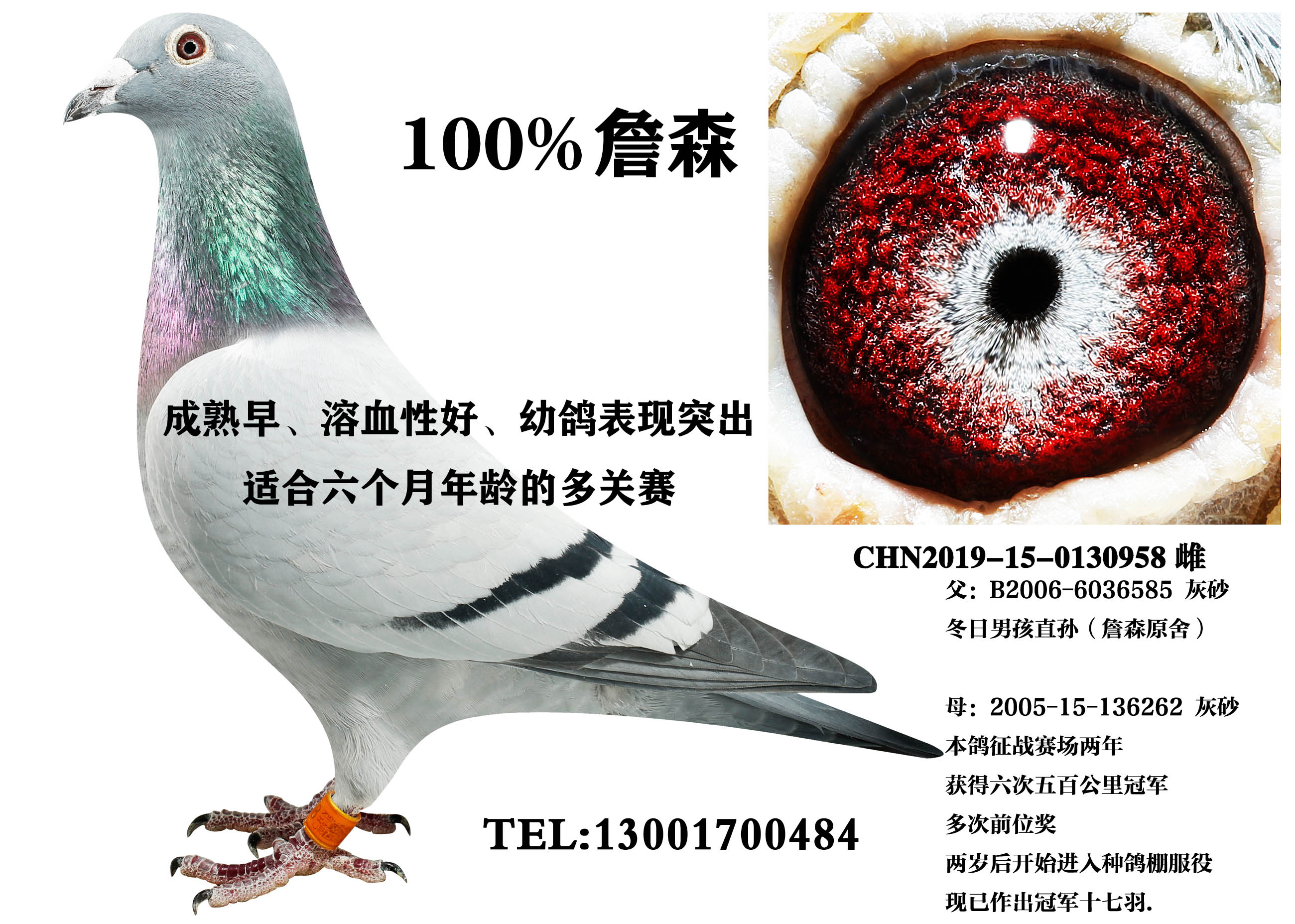 �����к�