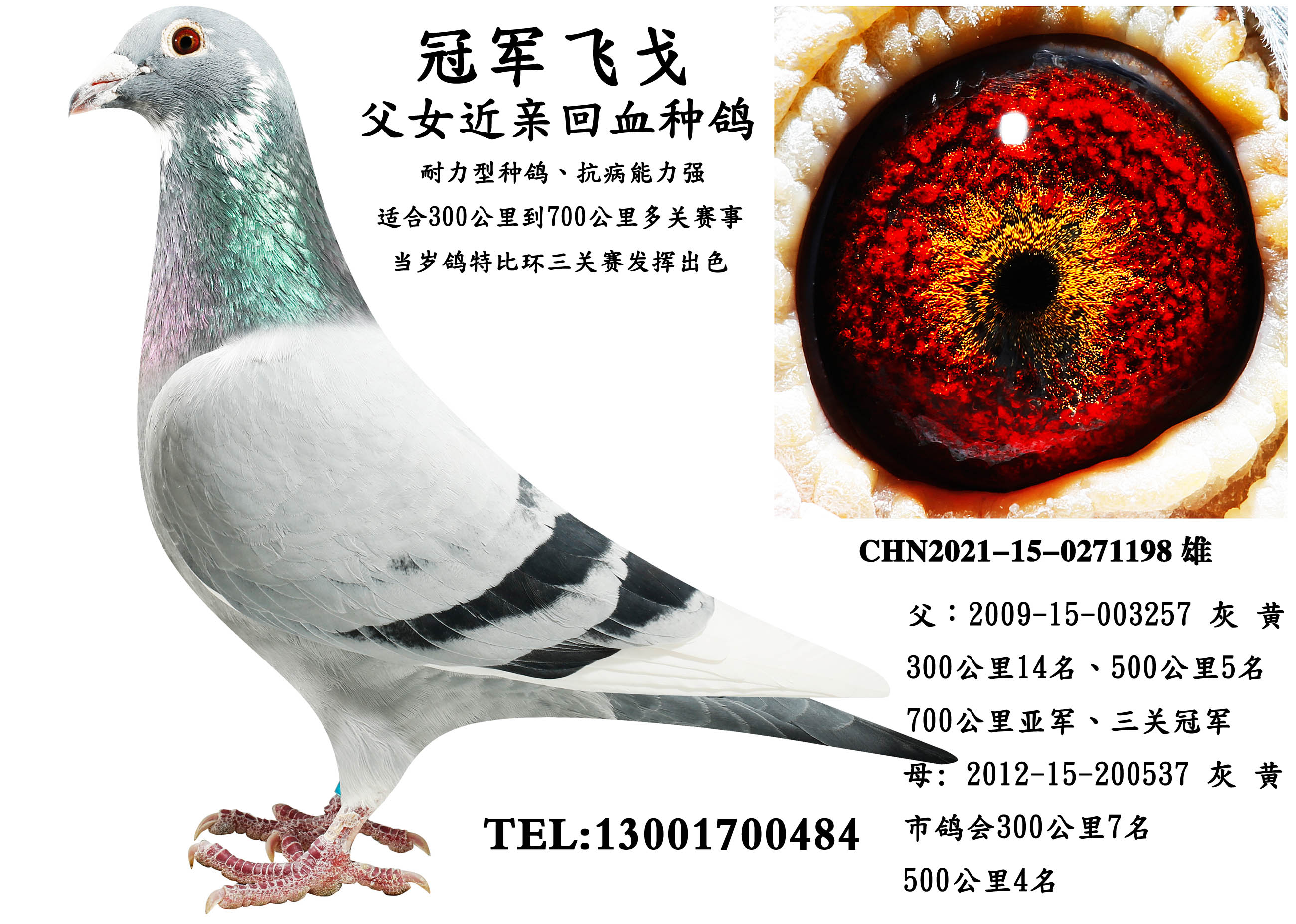 �ھ��ɸ� ��Ů��Ѫ