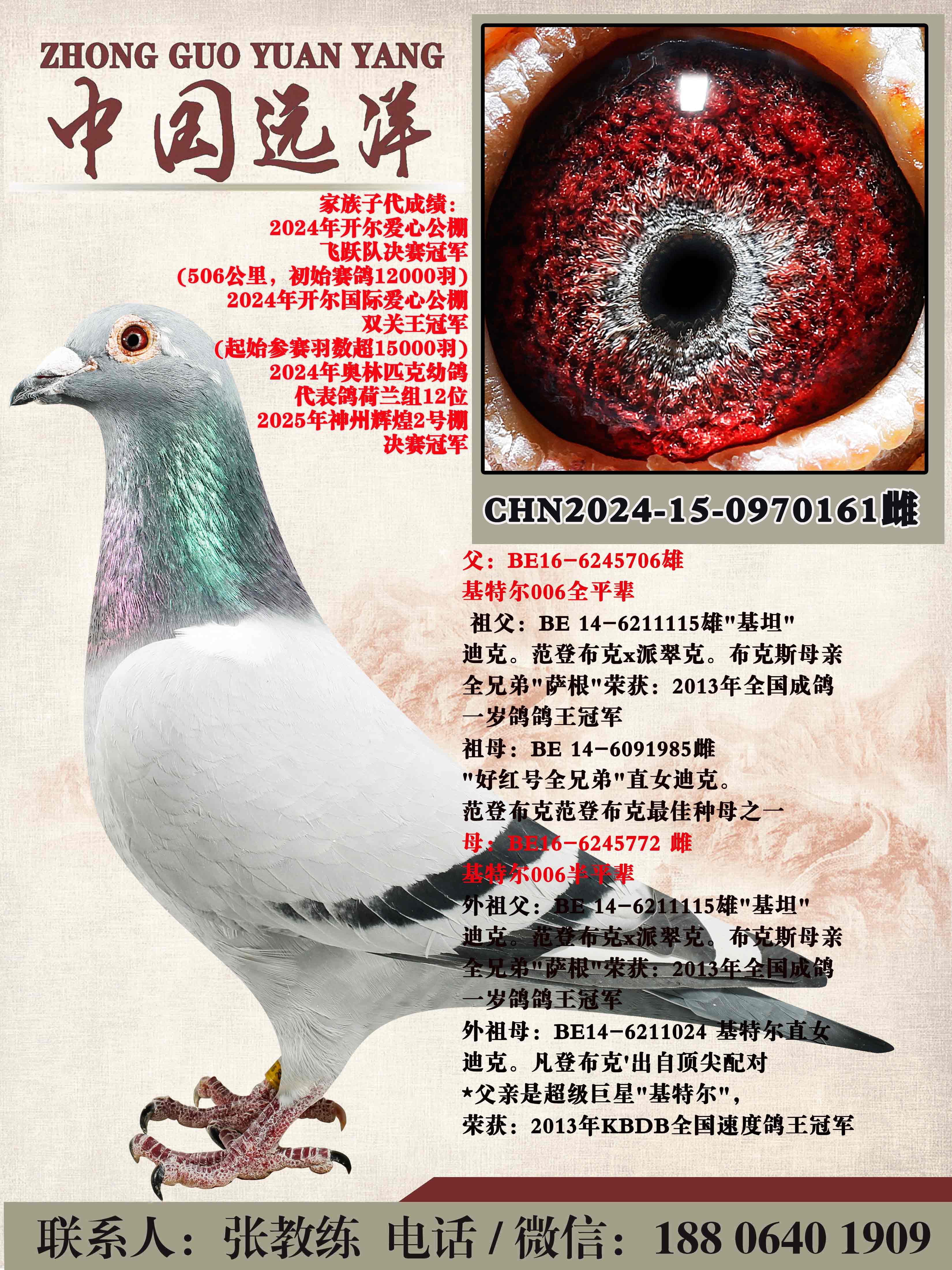 ���ض�006ȫƽ������