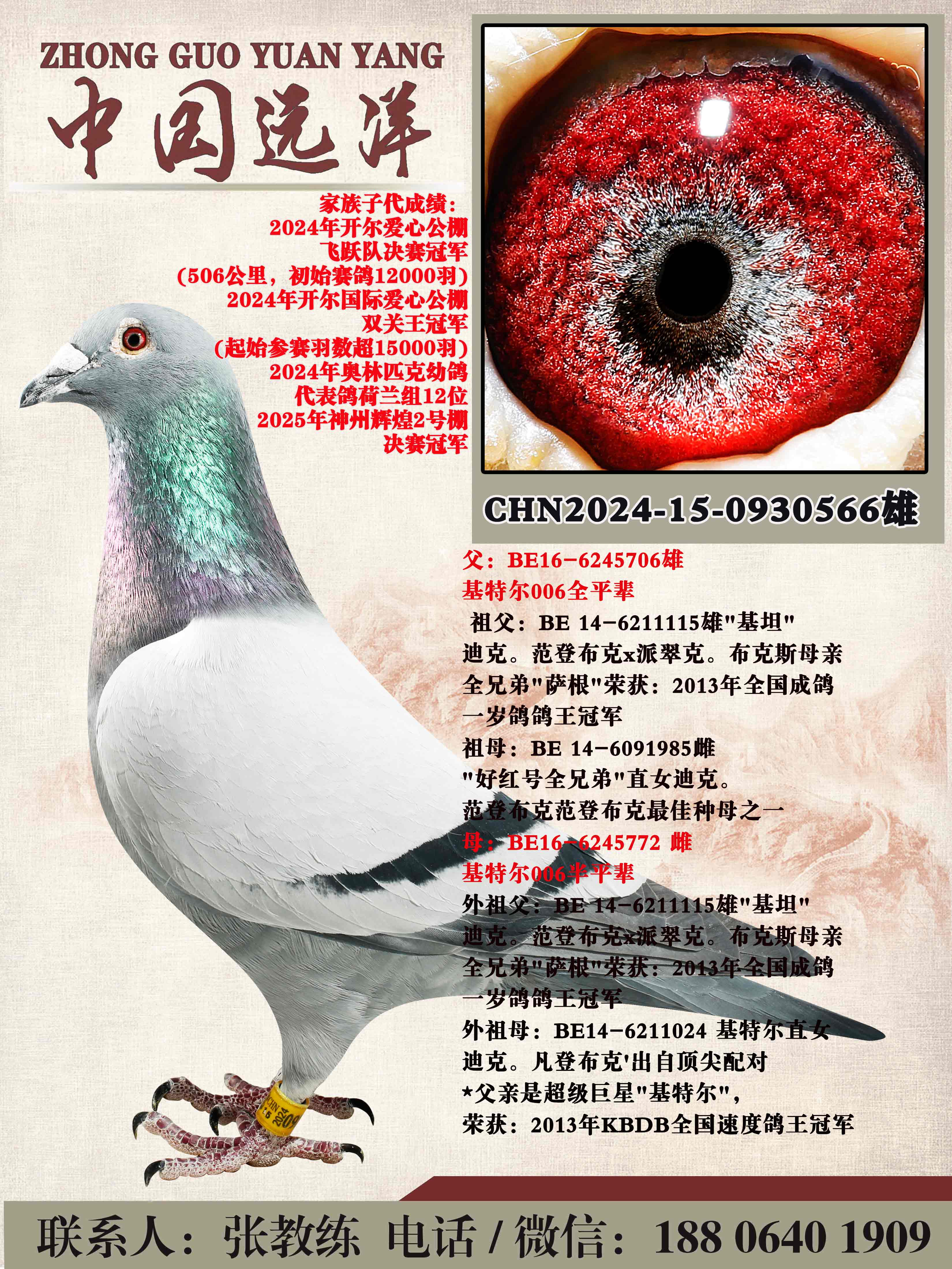 ���ض�006ȫƽ������