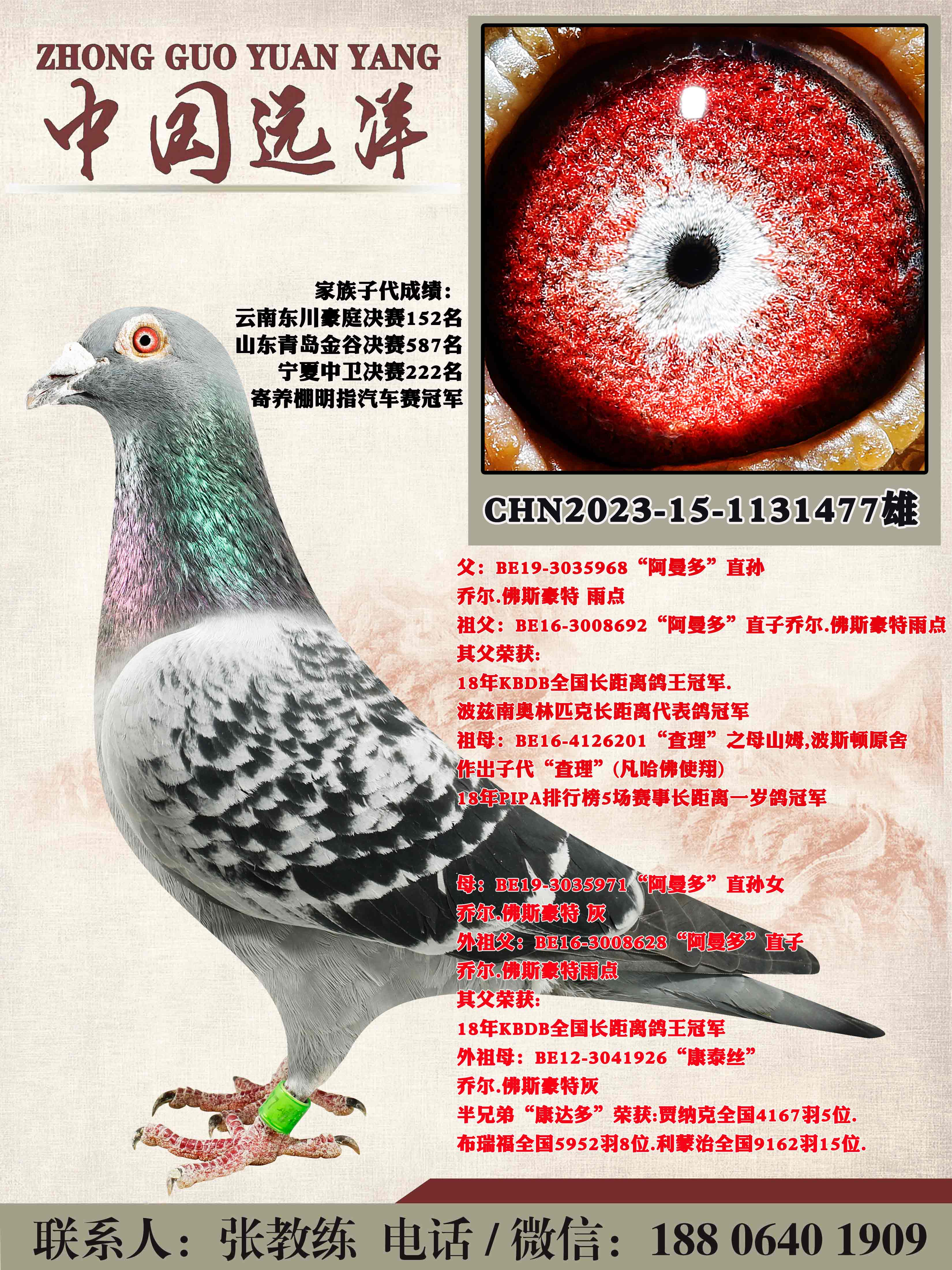 ������ֱ��x������ֱ��Ů