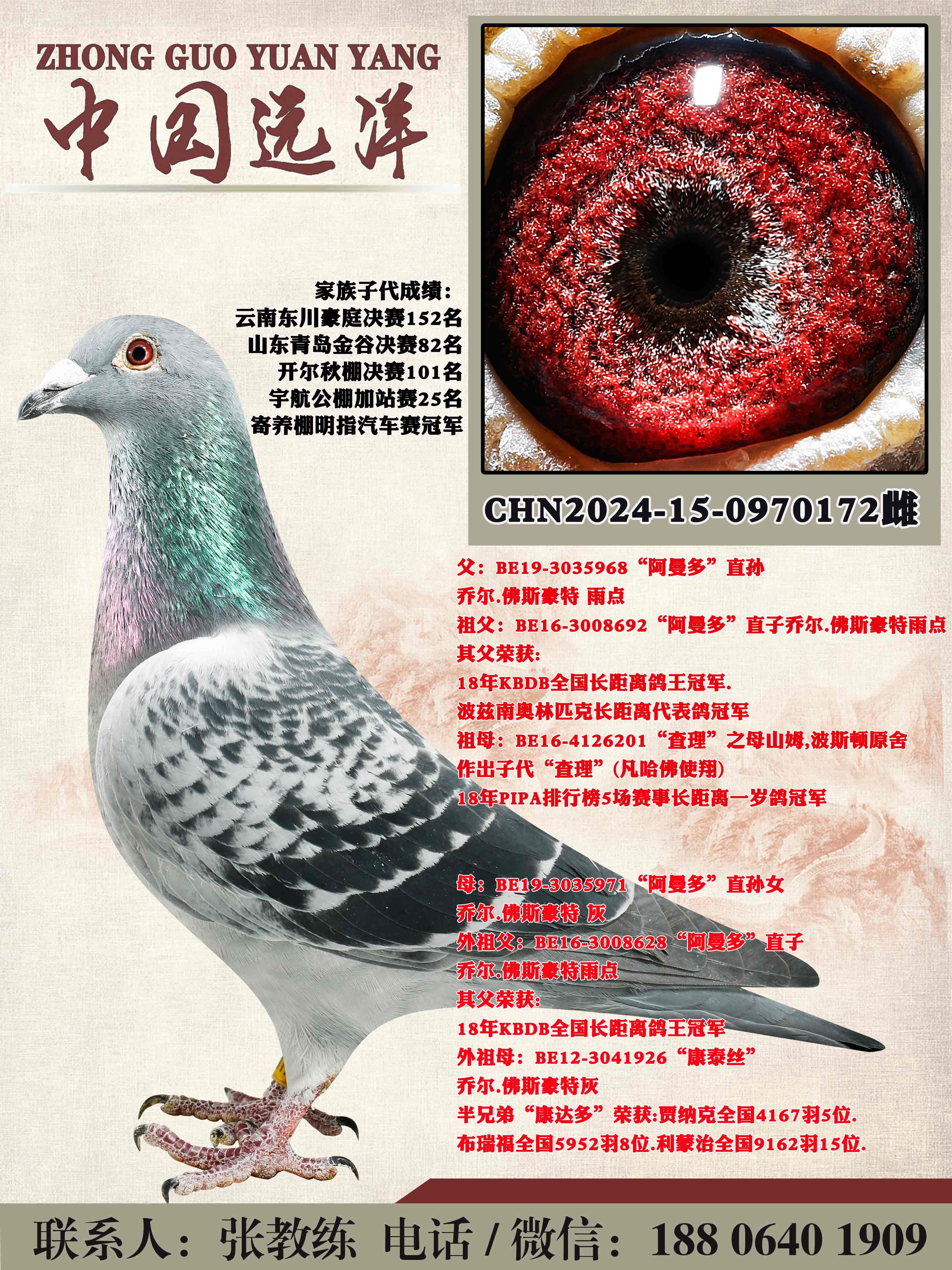 ������ֱ��x������ֱ��Ů