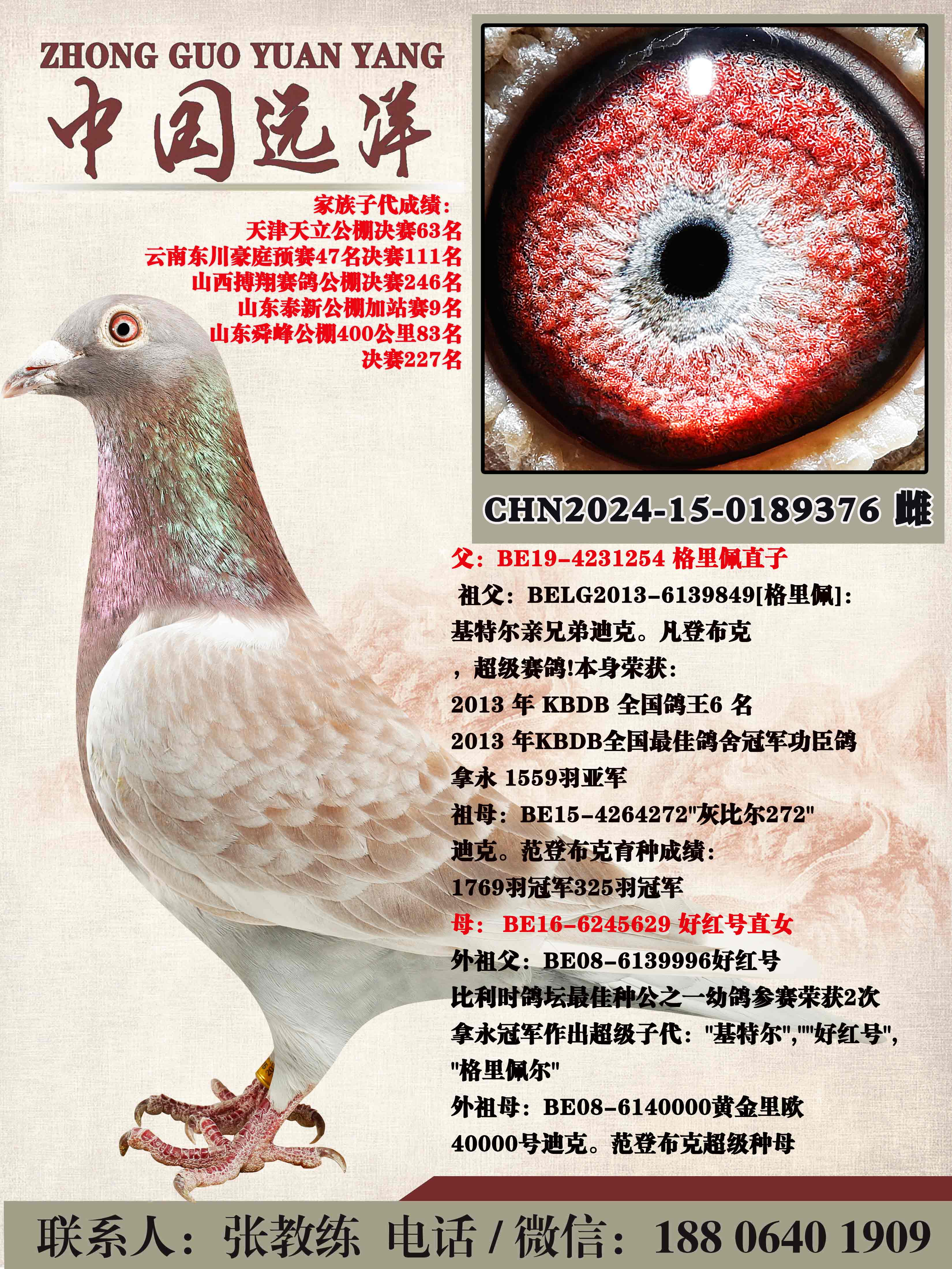 ������ֱ��x�ú��ֱŮ