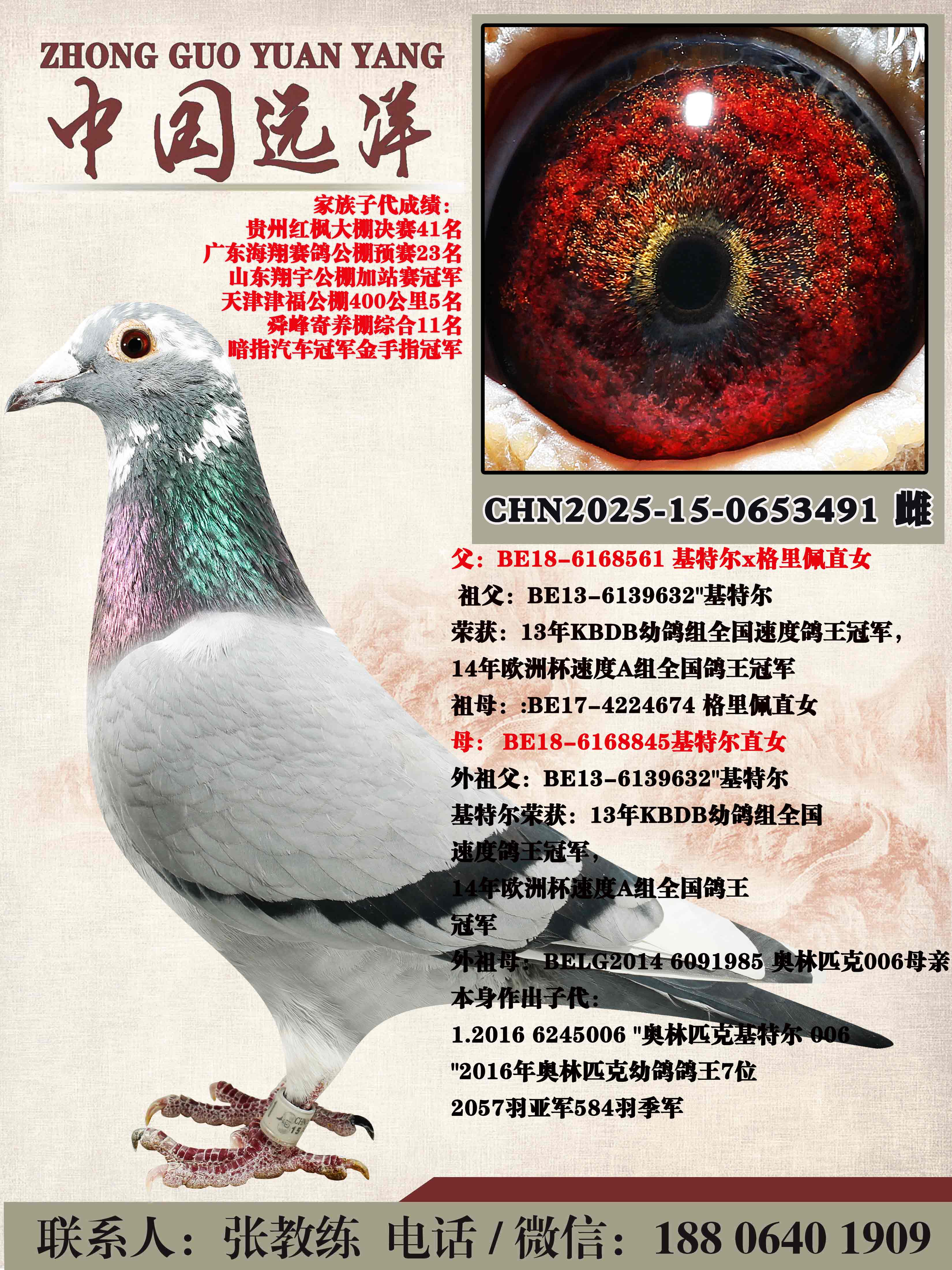 ���ض�ֱ��x���ض�ֱŮ