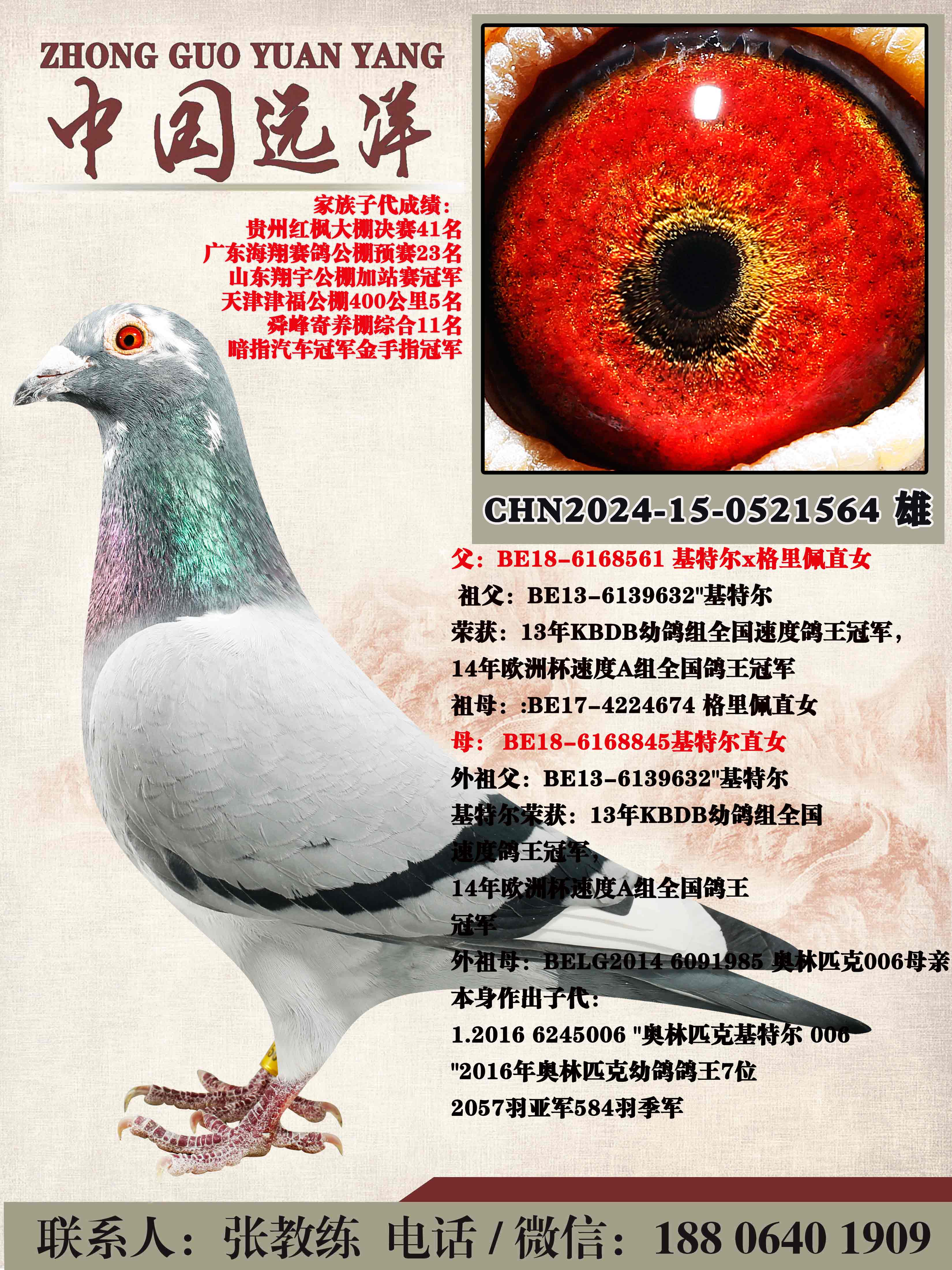 ���ض�ֱ��x���ض�ֱŮ