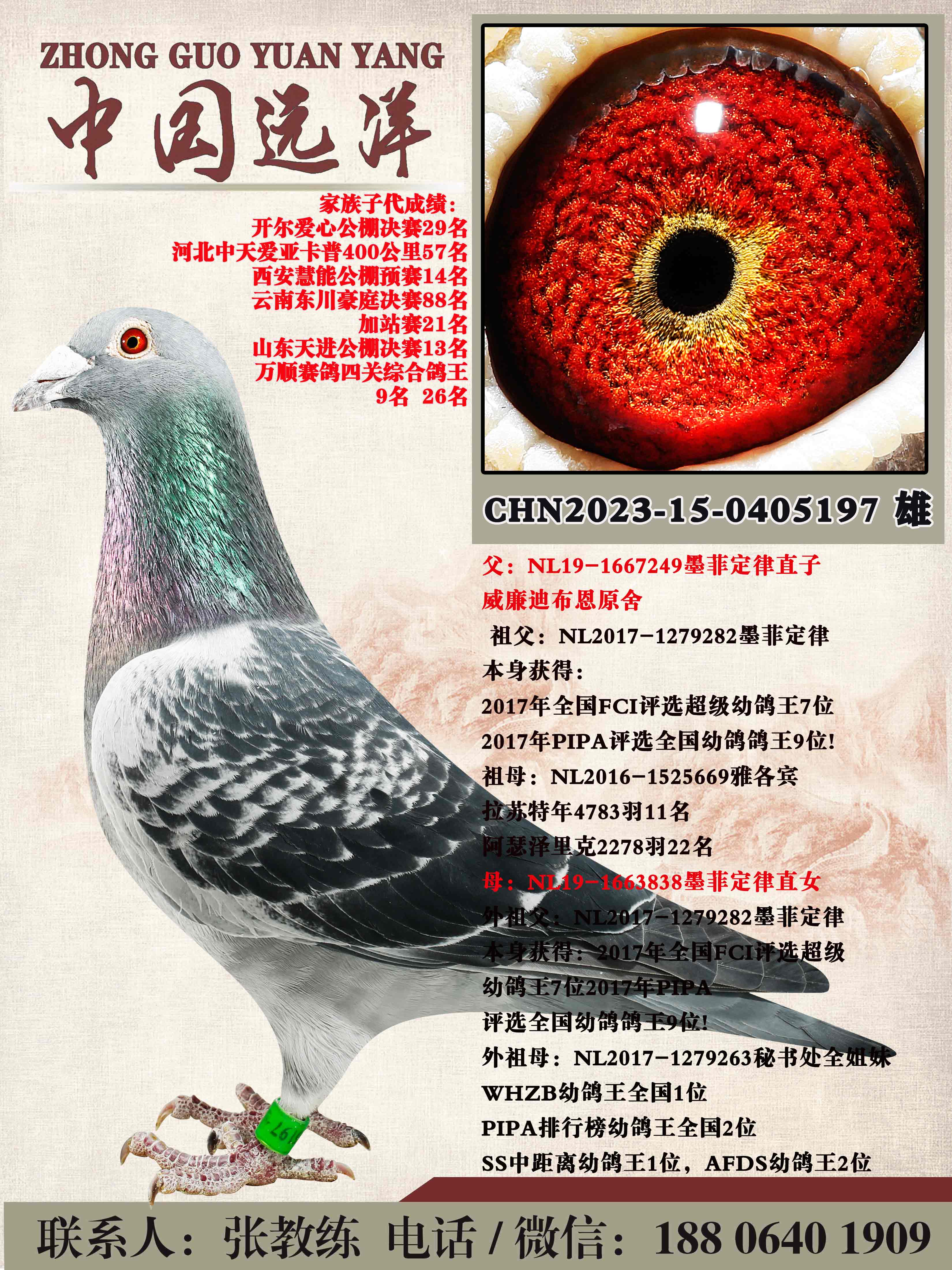 ī�ƶ���ֱ��xī�ƶ���ֱŮ