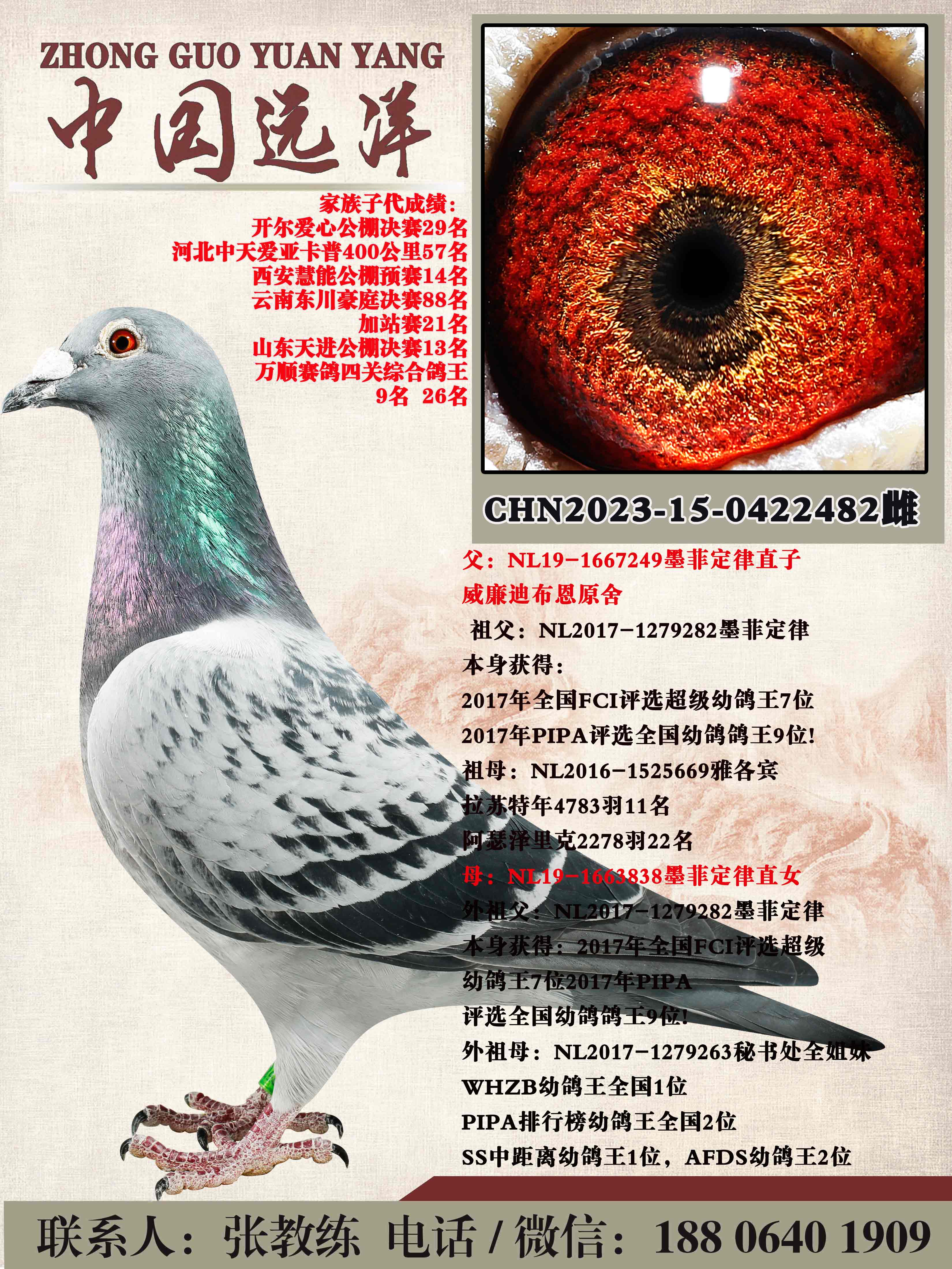 ī�ƶ���ֱ��xī�ƶ���ֱŮ