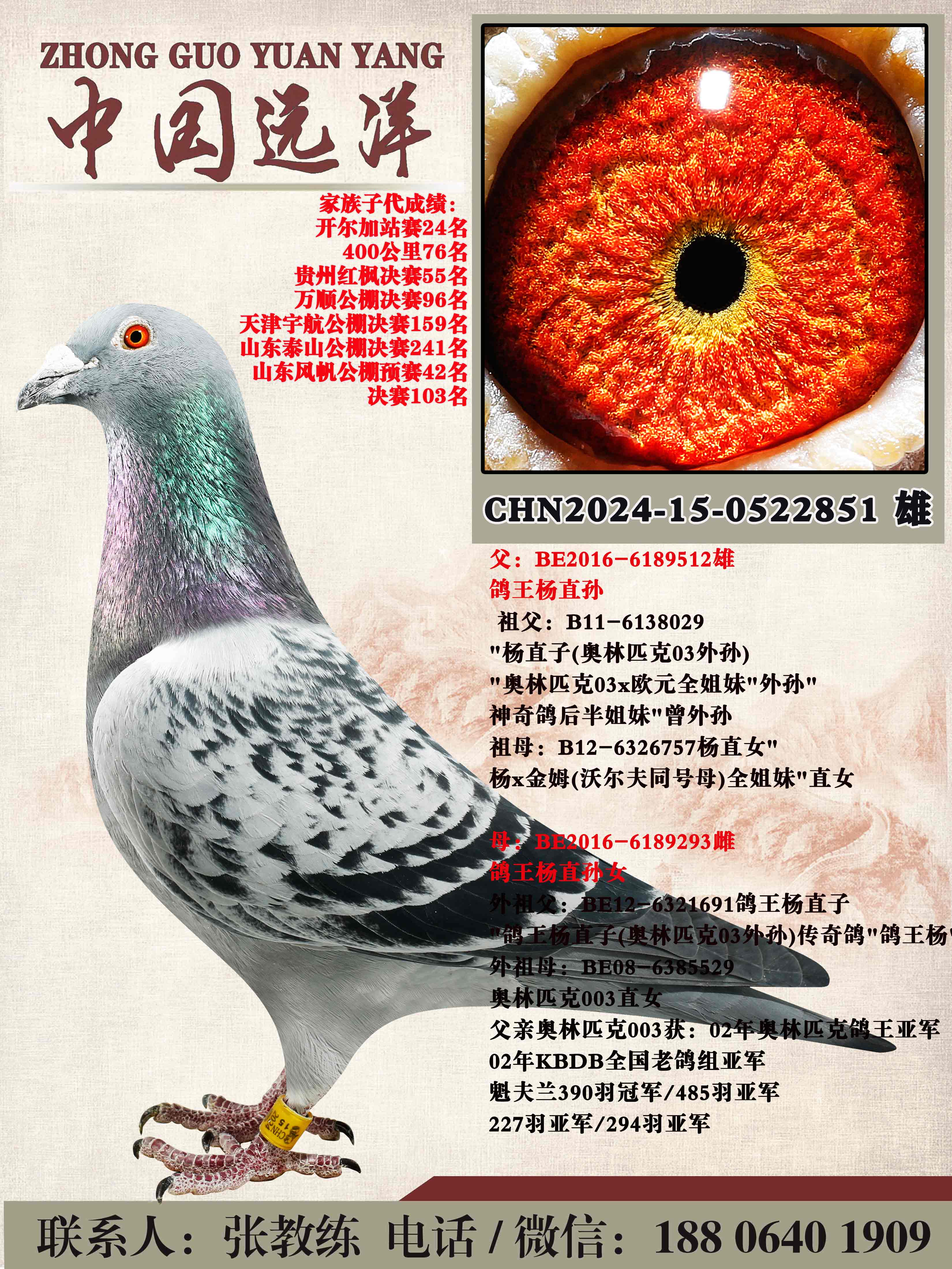 ������ֱ��x������ֱ��Ů