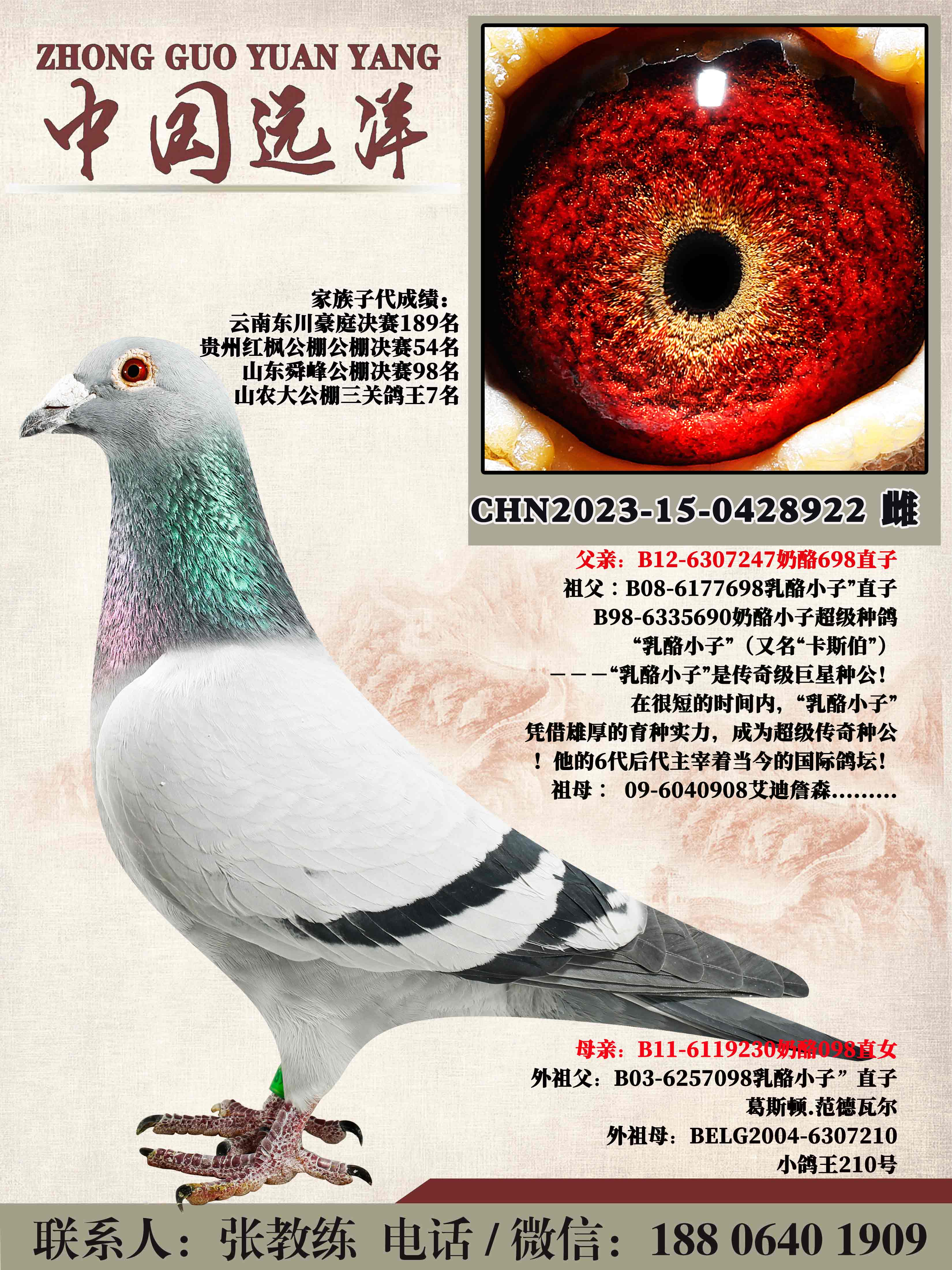 ����698ֱ��x����098ֱŮ