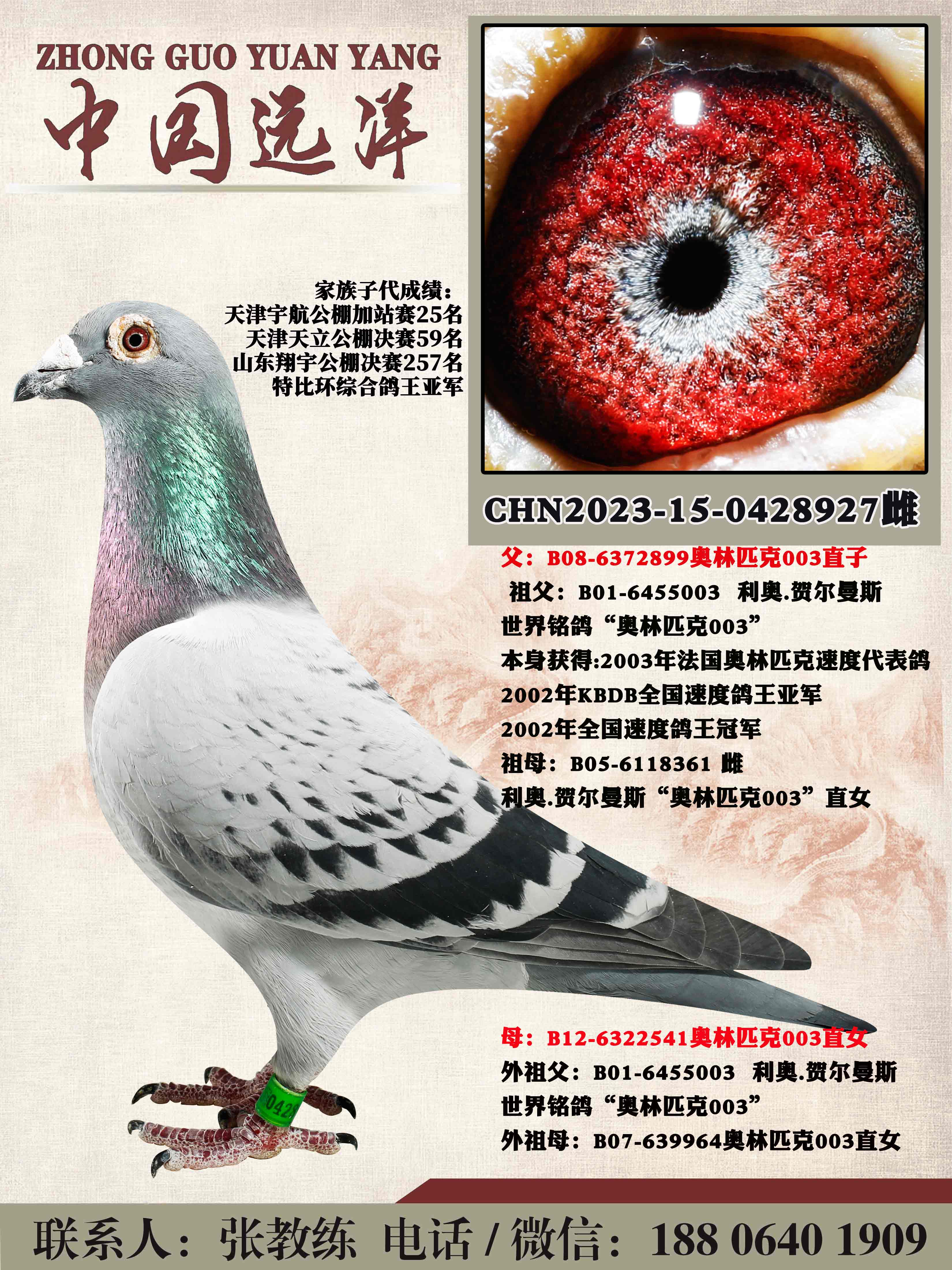 ����003ֱ��x����003ֱŮ