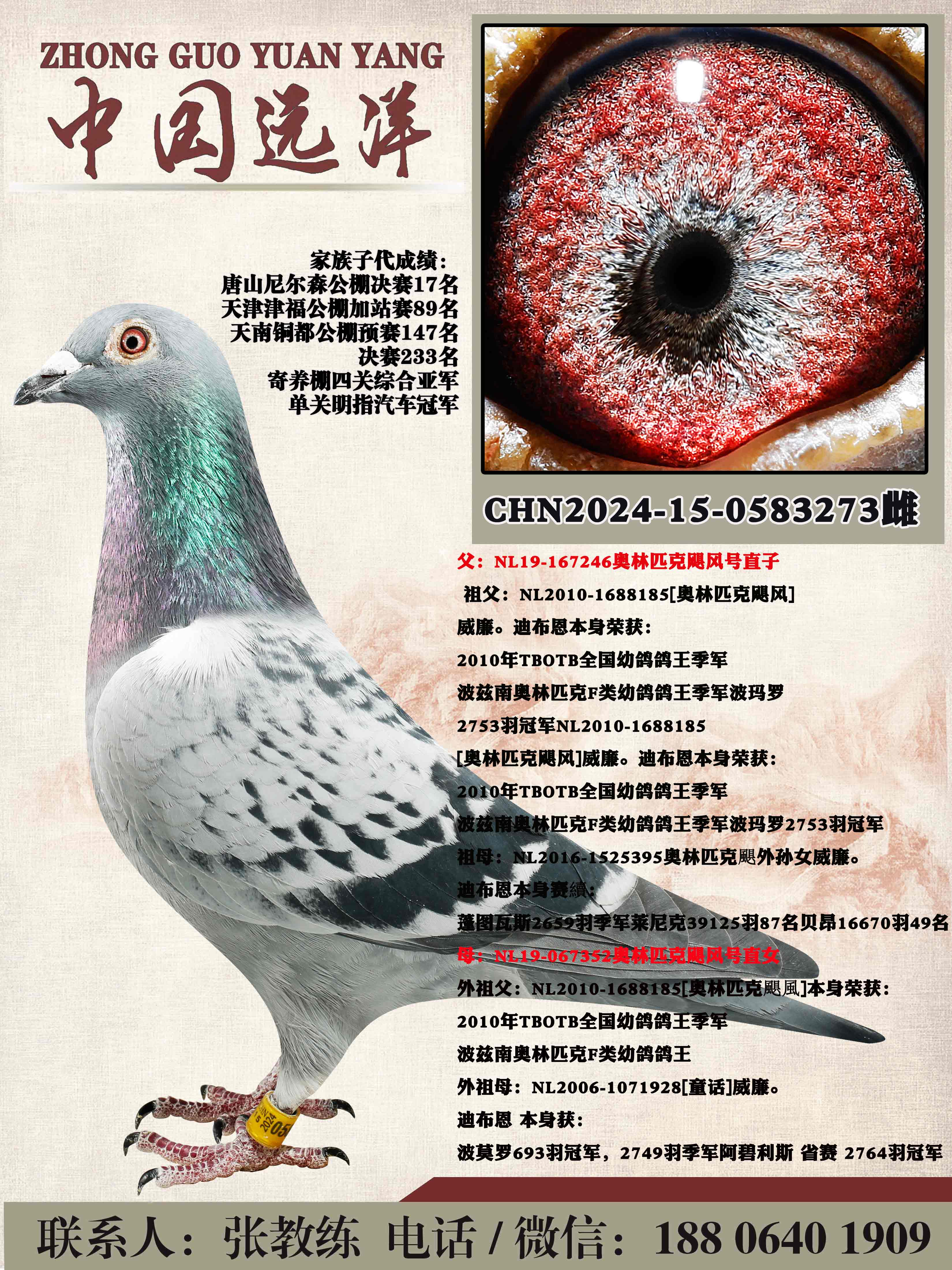 ����ƥ��쫷��ֱ��x����ƥ��쫷��ֱŮ