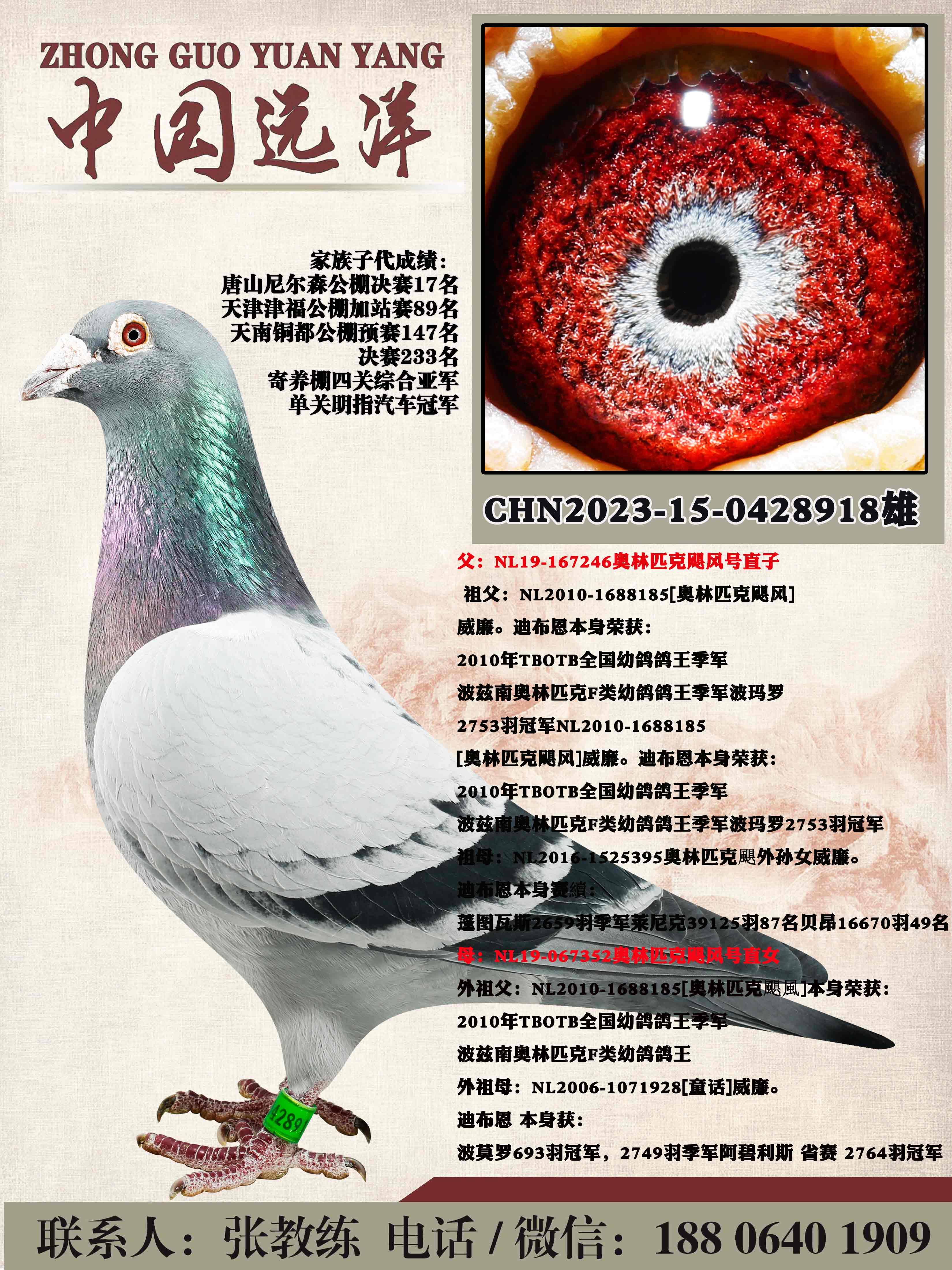 ����ƥ��쫷��ֱ��x����ƥ��쫷��ֱŮ